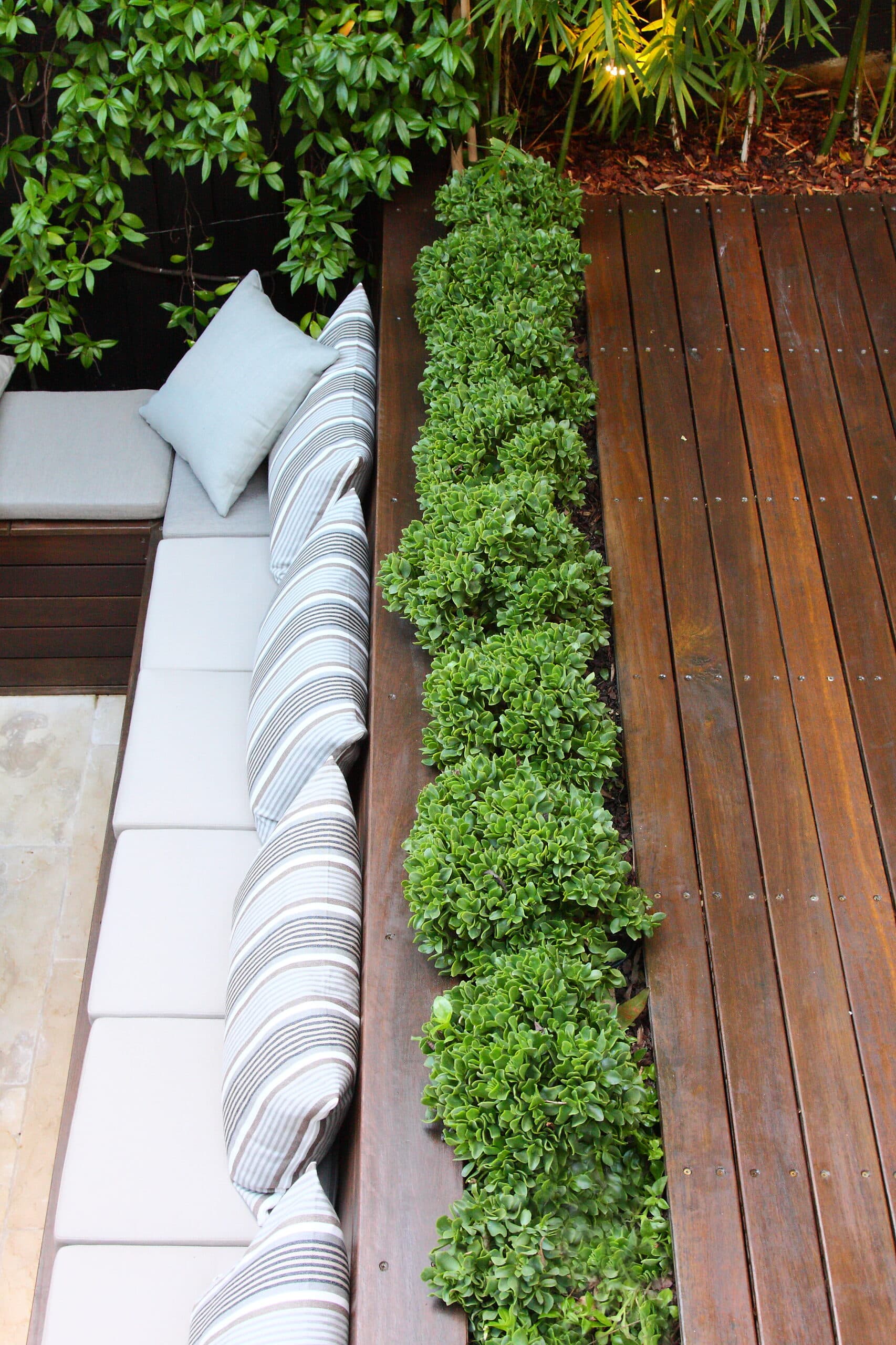 Overhead detail of grey and striped cushions beside a row of jade succulents set into timber decking