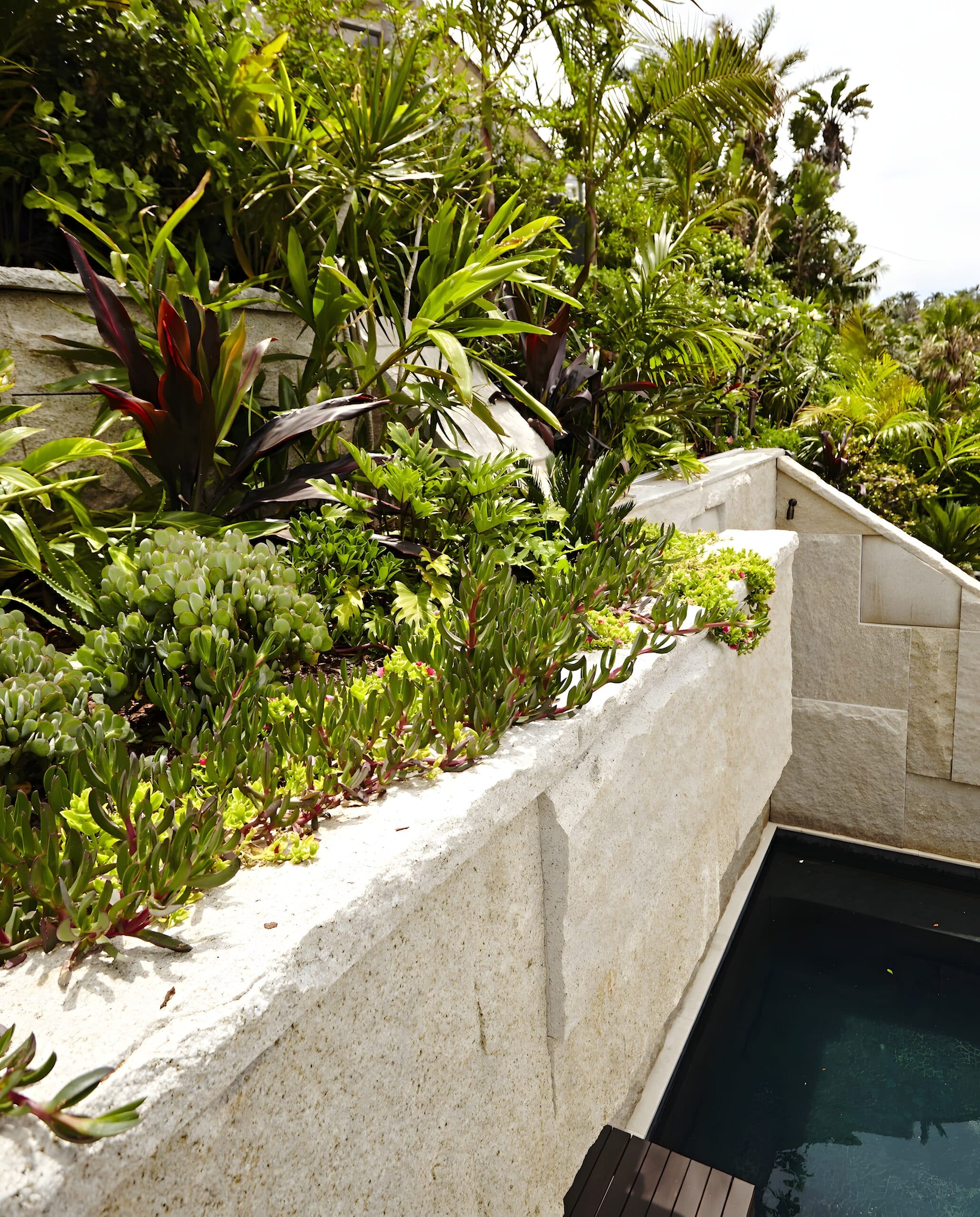 Raised sandstone planter brimming with succulents and tropical foliage above a dark plunge pool