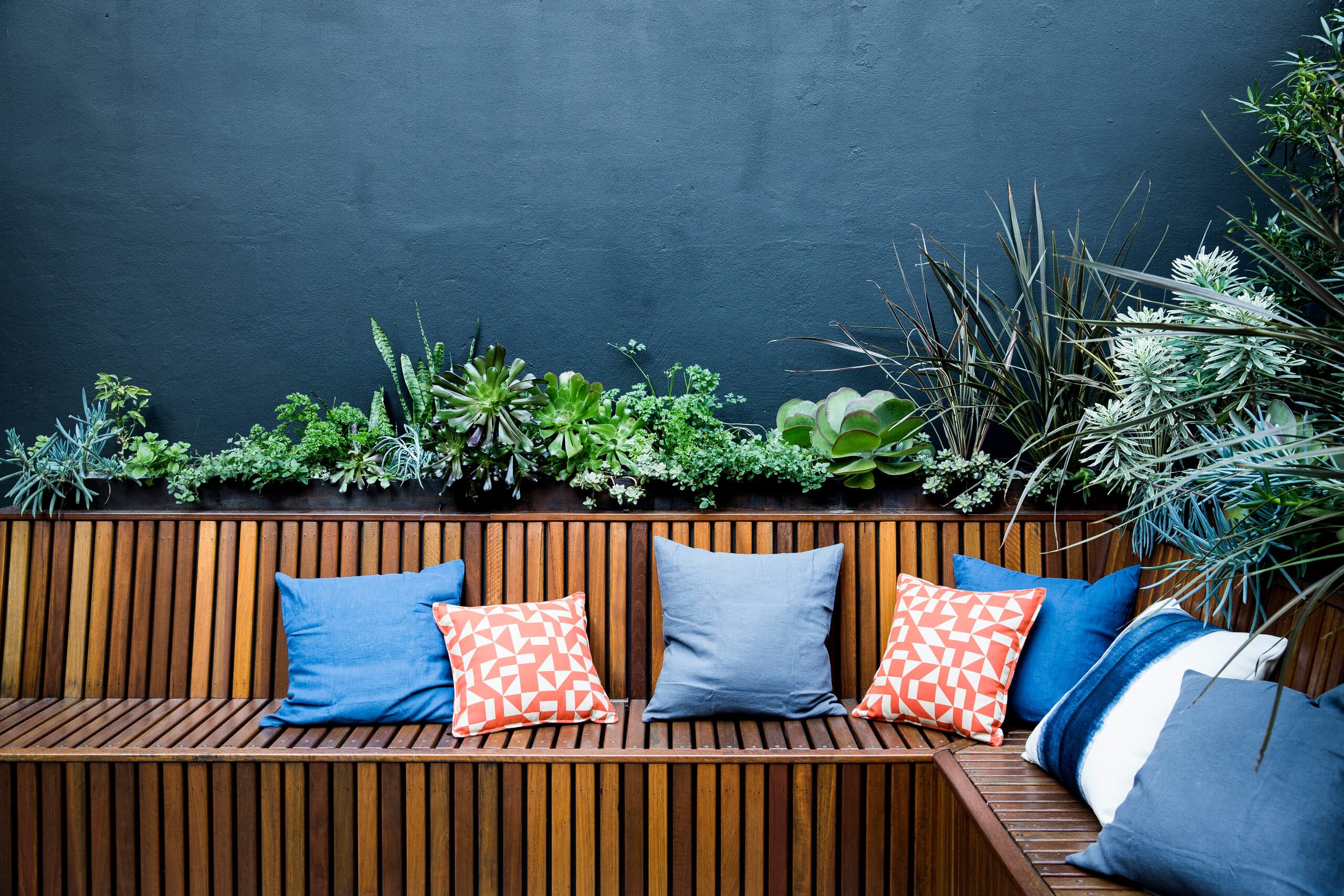 Blue and coral cushions along a timber bench beneath a planted charcoal wall