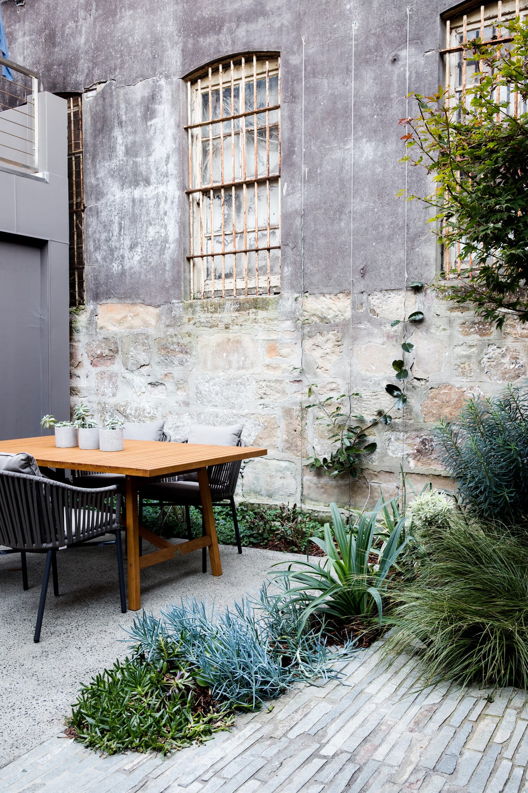 Timber dining table against a weathered sandstone wall with silvery blue succulents