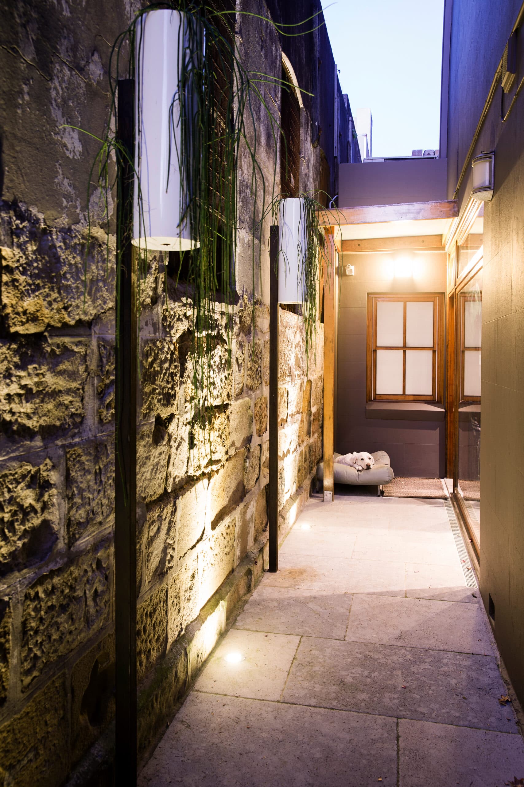 Warmly lit side passage of rough sandstone with trailing plants at dusk