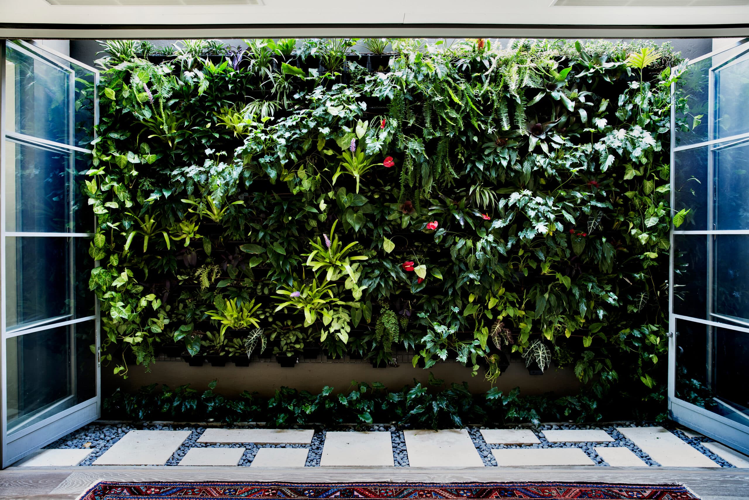 Lush vertical green wall of ferns and bromeliads above a paver and pebble path