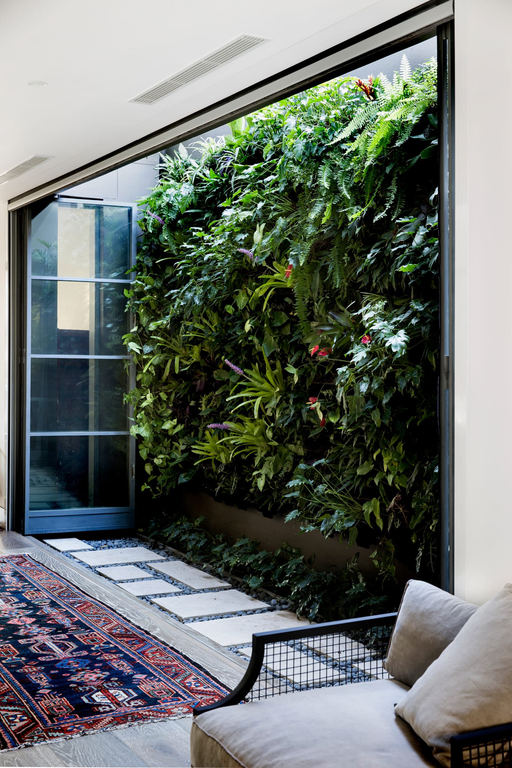 Living green wall viewed from a sitting room through sliding doors over a Persian rug