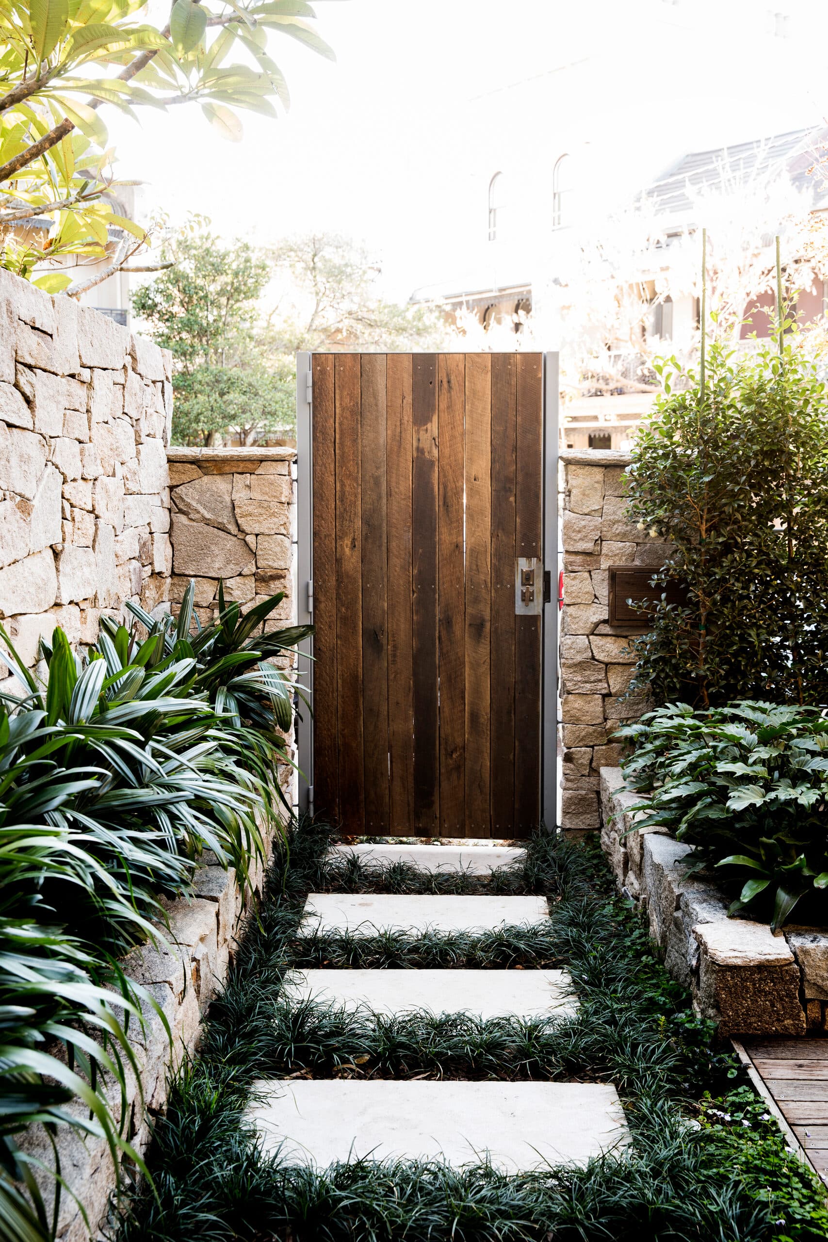 Dark timber garden gate framed by lush planting and a stepping-stone path through mondo grass