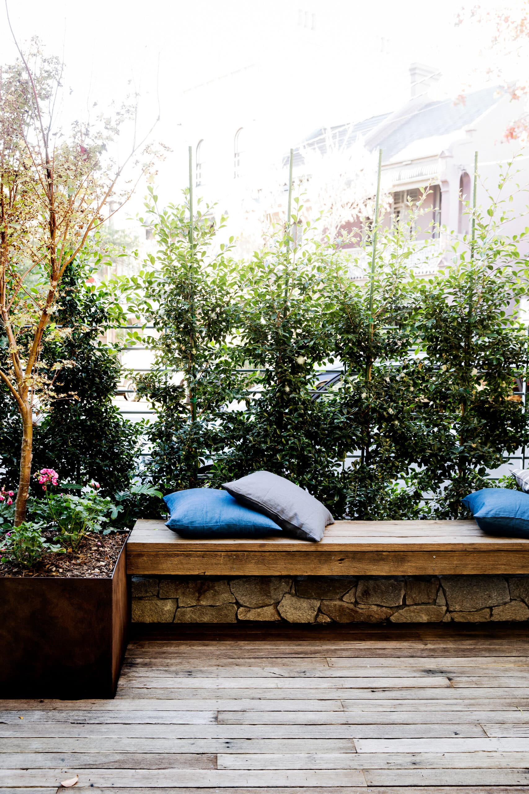 Timber bench with blue linen cushions backed by a clipped hedge screening the terrace street beyond
