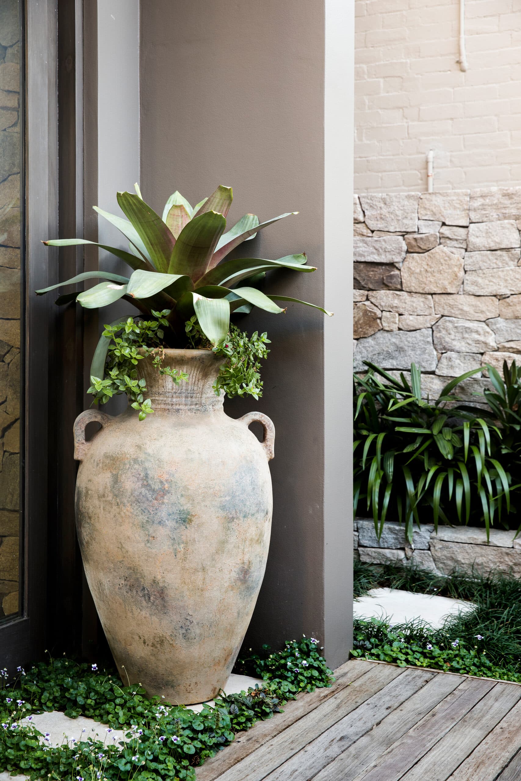 Bromeliad planted in a weathered terracotta urn against a charcoal pier and stone wall
