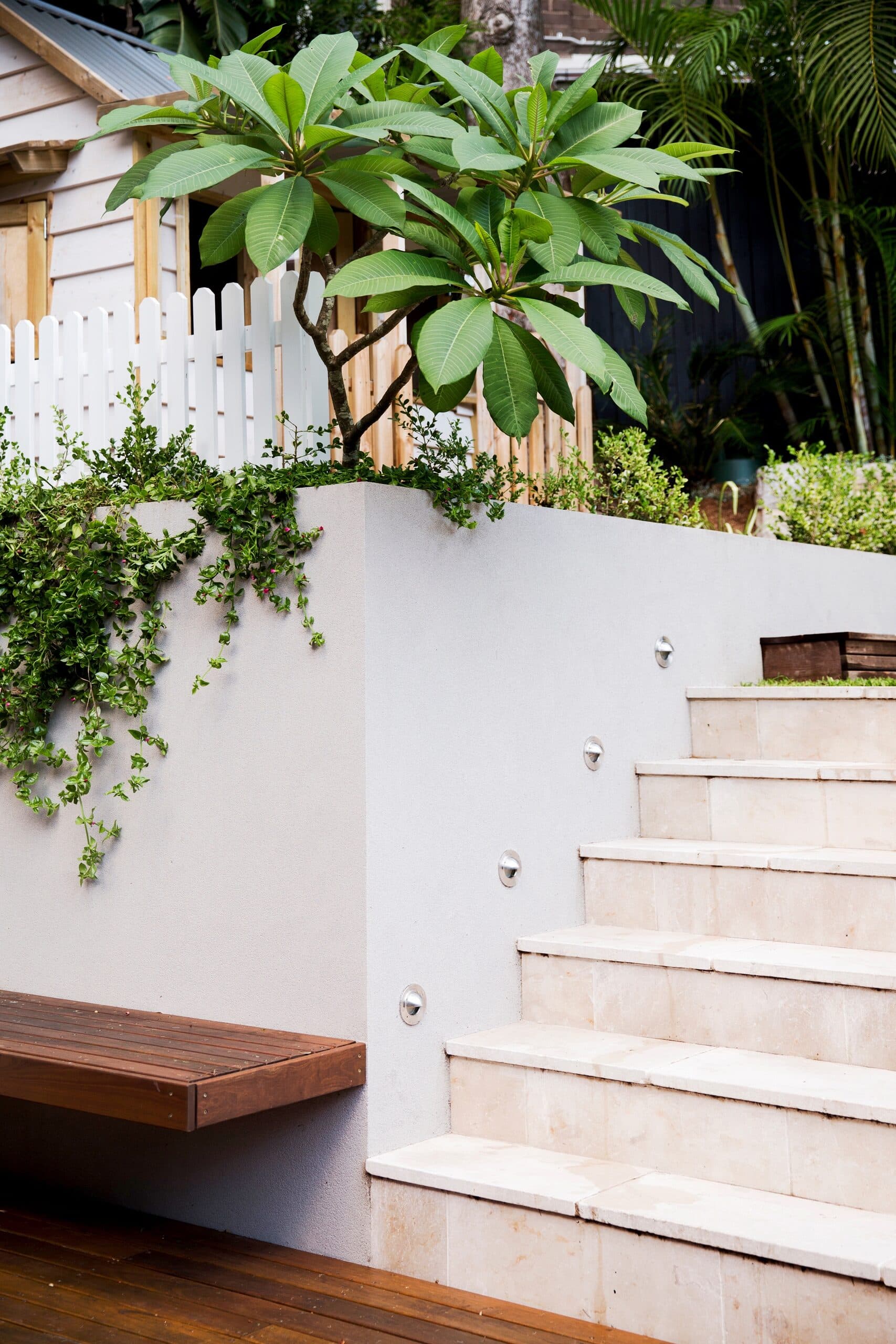 Rendered retaining wall with trailing greenery, sandstone steps and a frangipani above a floating timber bench