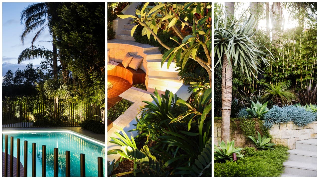 Lush tropical garden with a dusk pool, uplit sandstone steps and a palm above blue-grey agaves