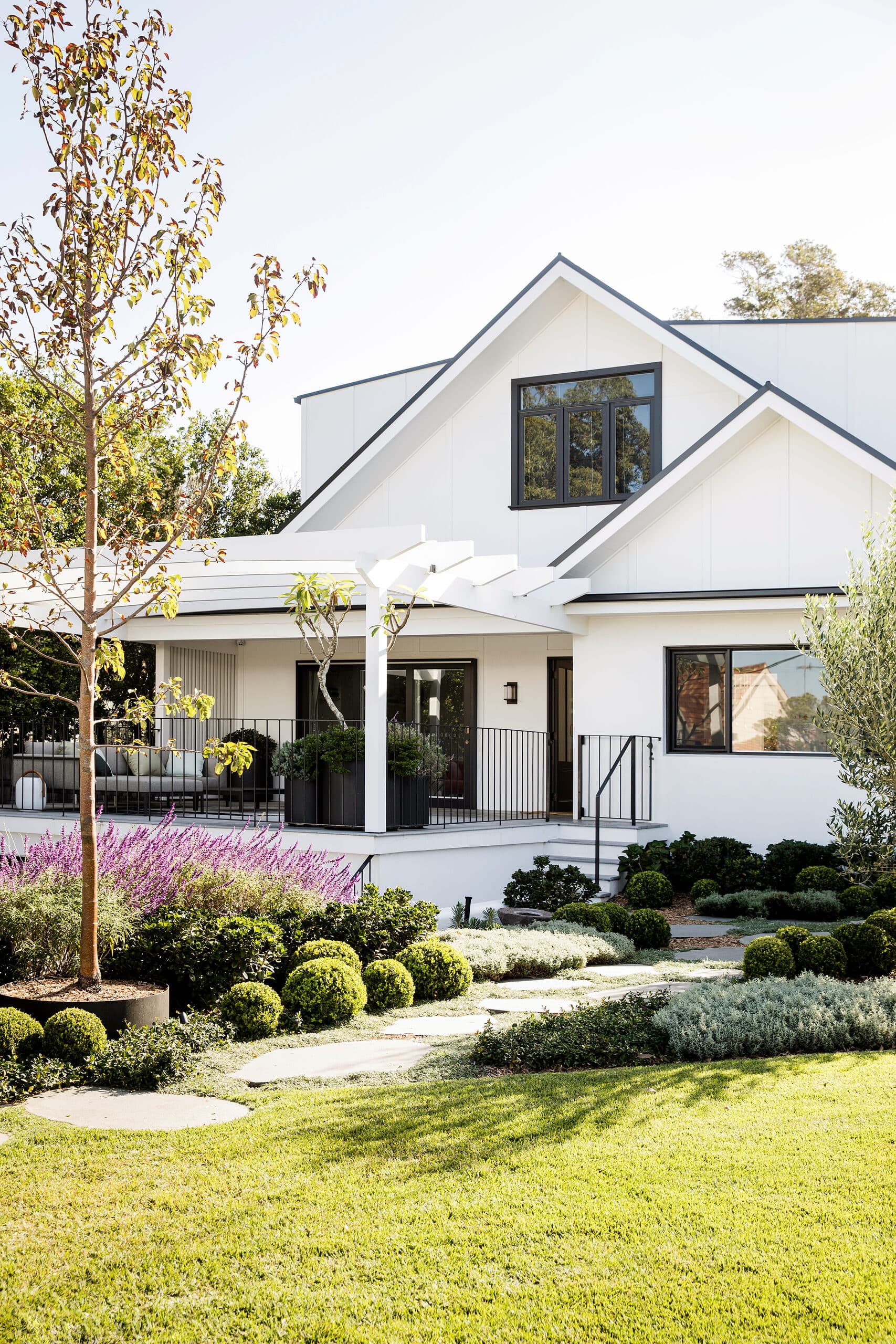 Front facade framed by clipped box balls, mauve salvia and stepping stones across lawn