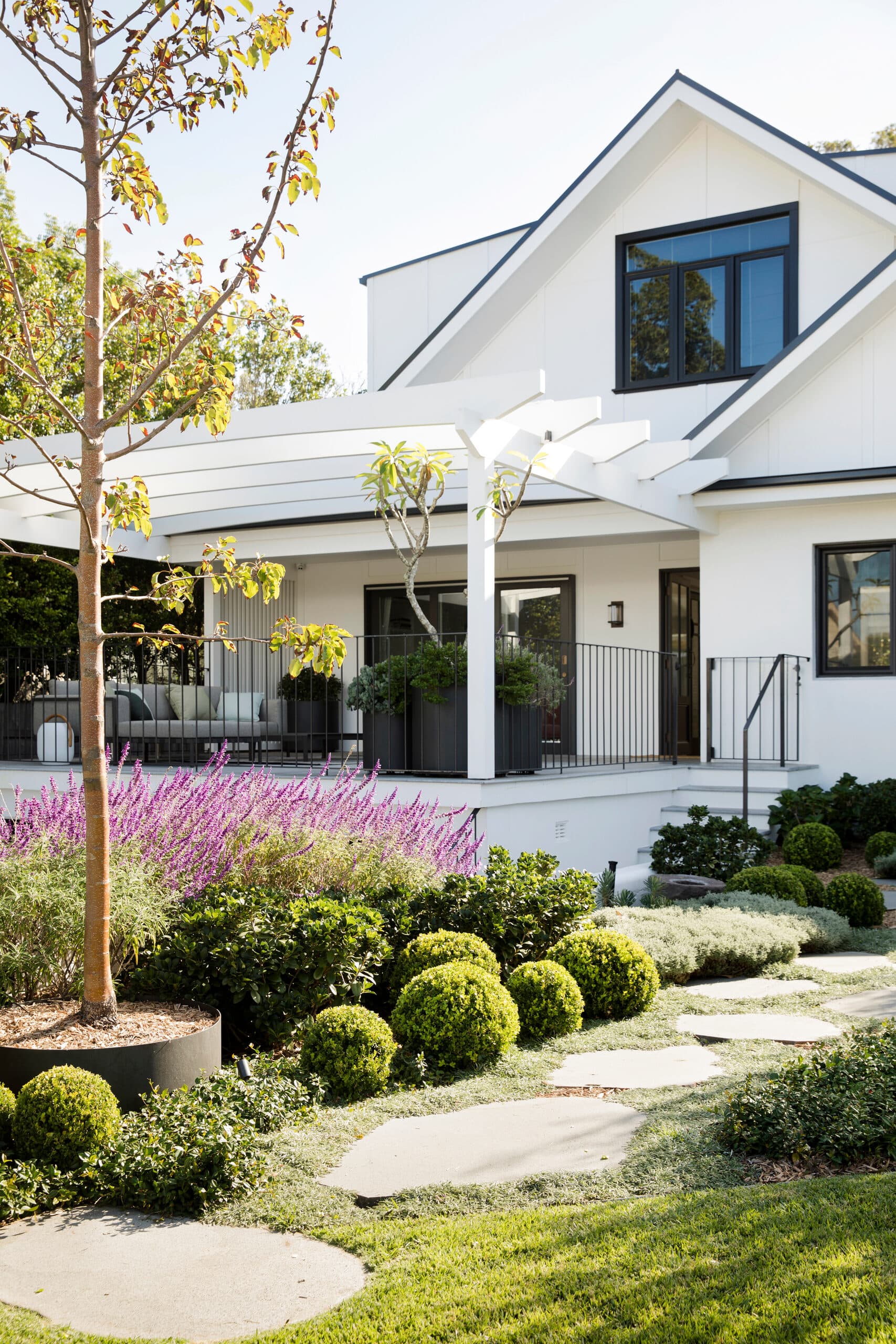 Bright purple salvia and box ball topiary along a sandstone path beside the verandah