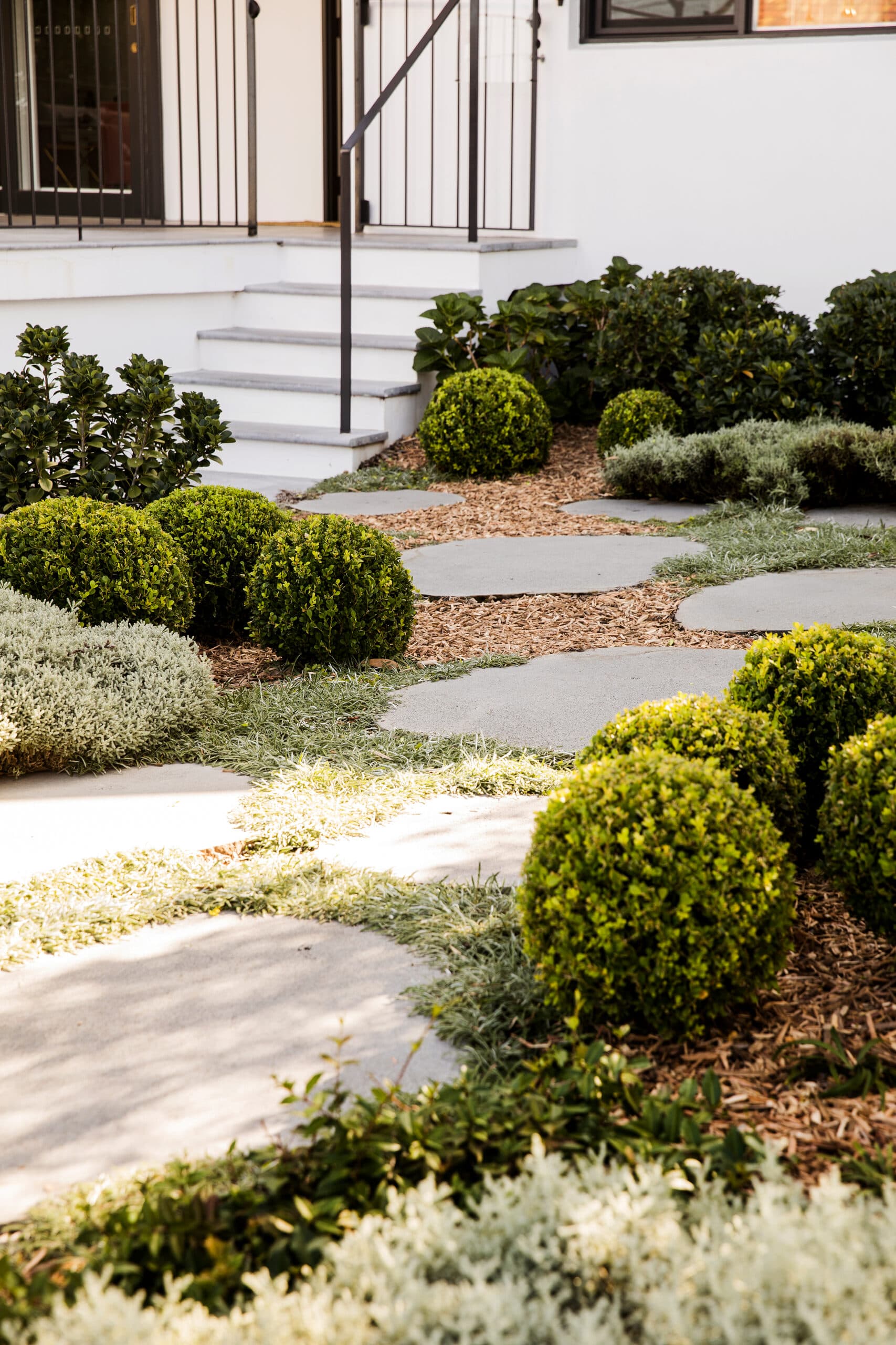 Bluestone and pale pavers set among box balls, mulch and grassy groundcover