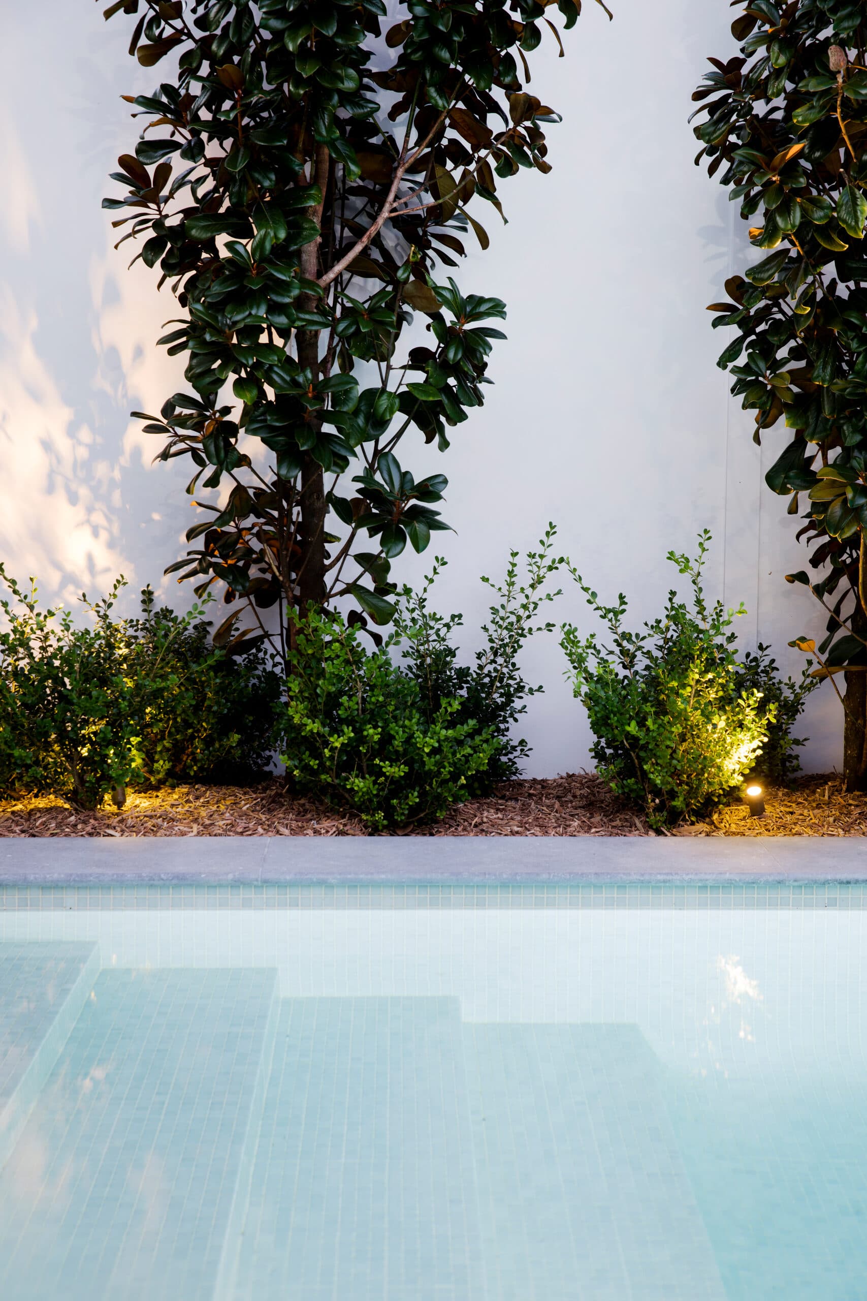 Mosaic tiled pool below magnolia trees, clipped shrubs and a rendered wall uplit at dusk