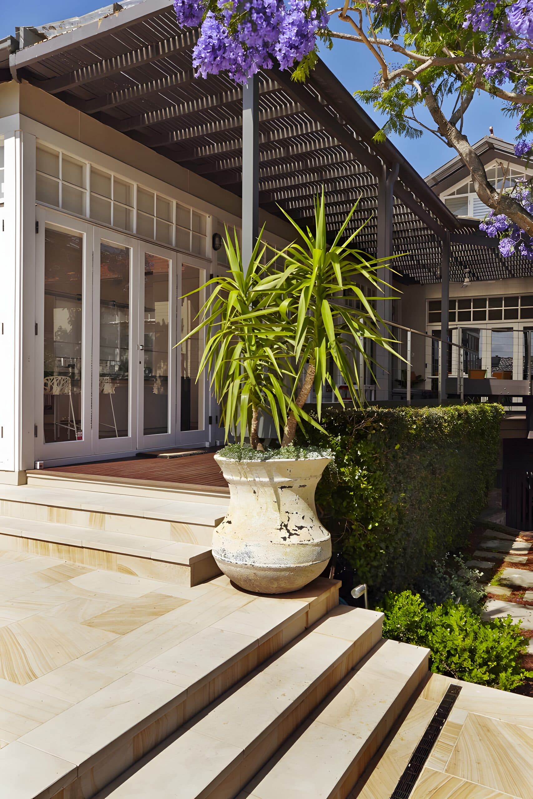 Potted dragon tree on sandstone steps beside the glass-walled garden room and slatted pergola