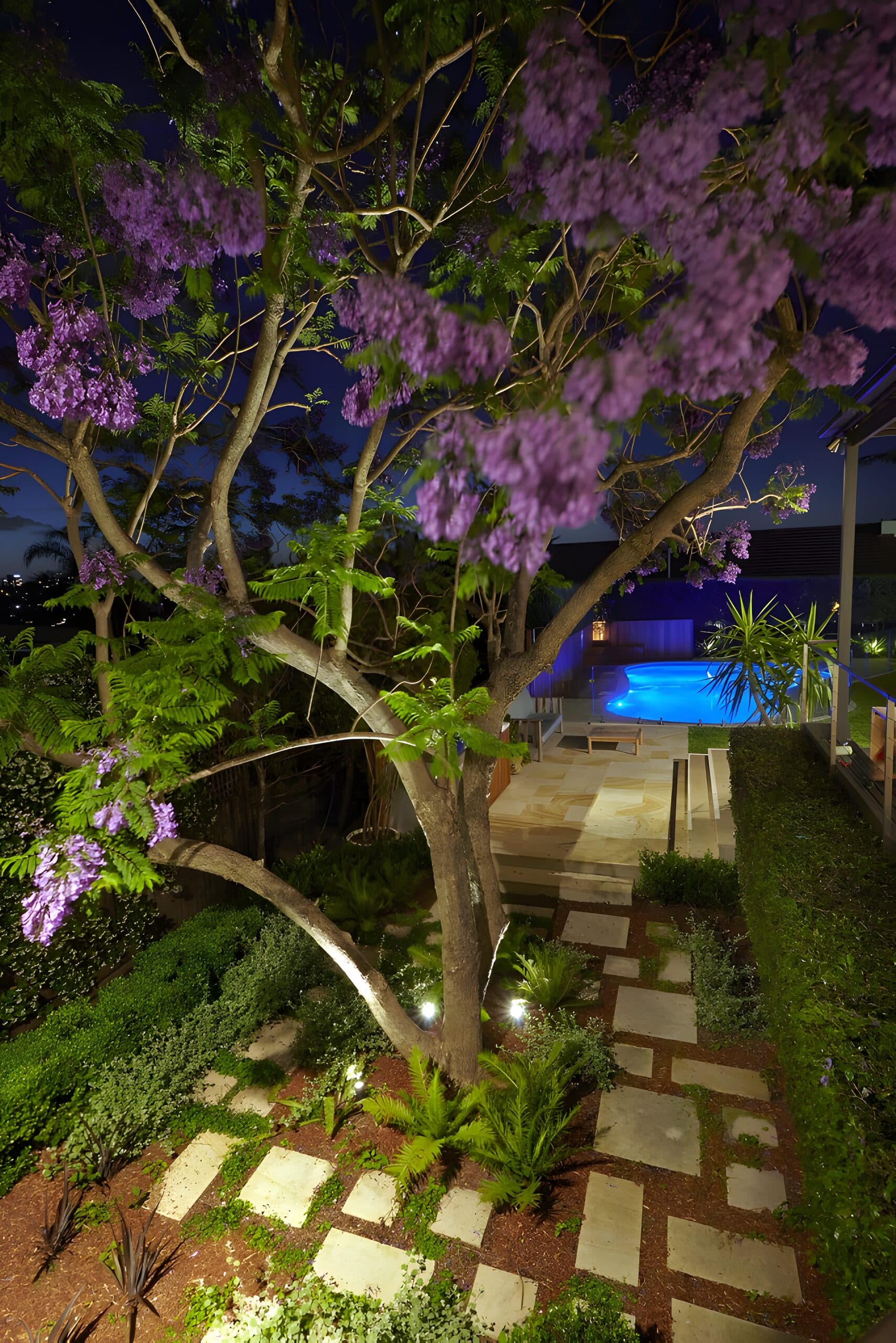 Uplit jacaranda over a stepping-stone path leading down to the blue-lit pool at night