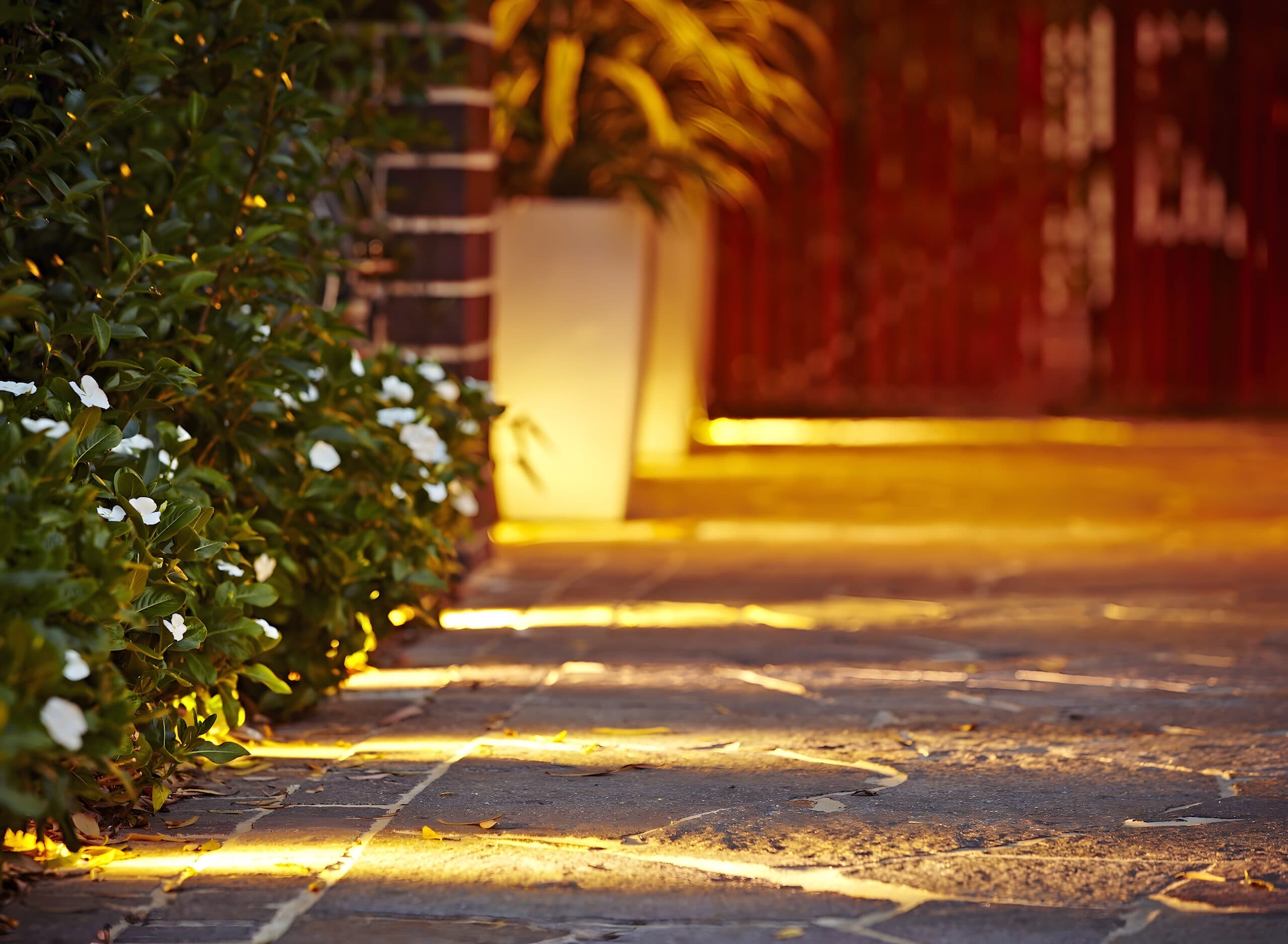 Warm uplighting along a stone path past white flowers and a tall planter at dusk
