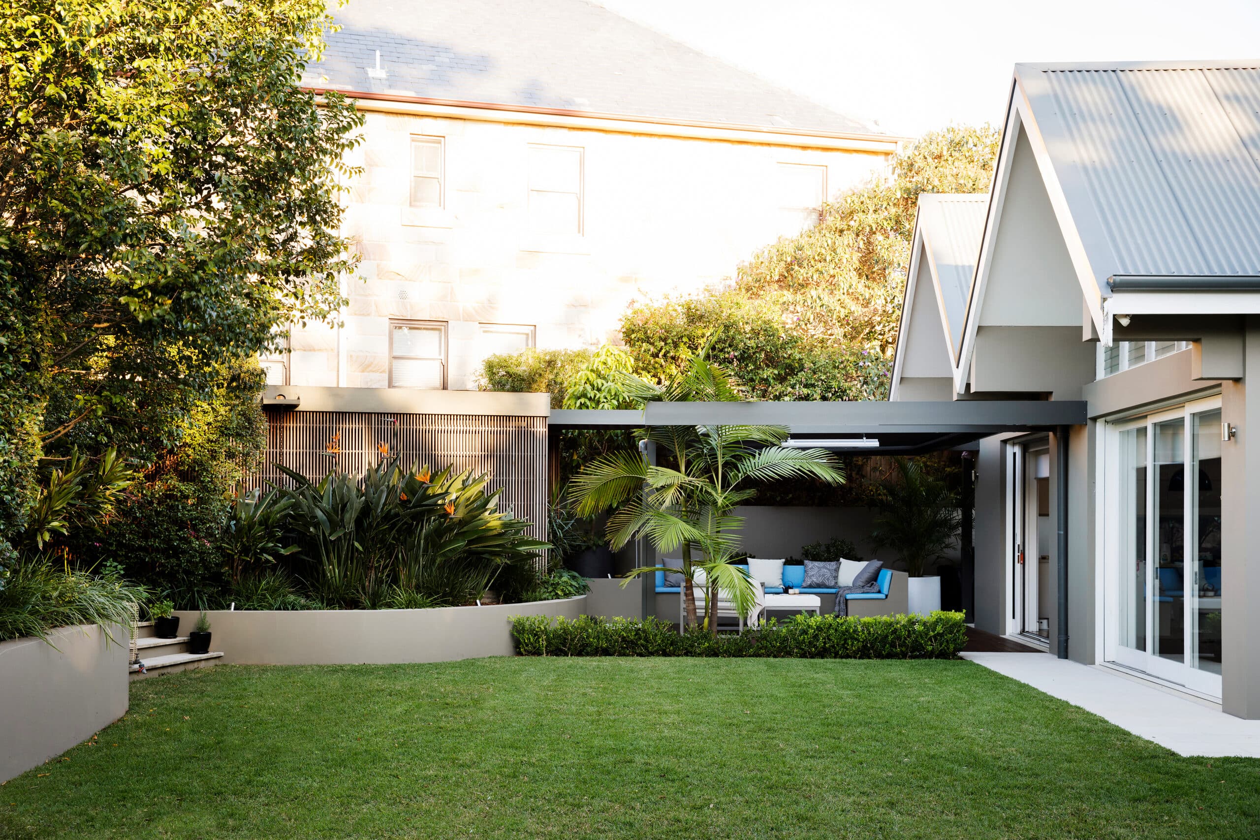 Palm and cushioned lounge under a pergola beyond a curved render garden bed and level lawn
