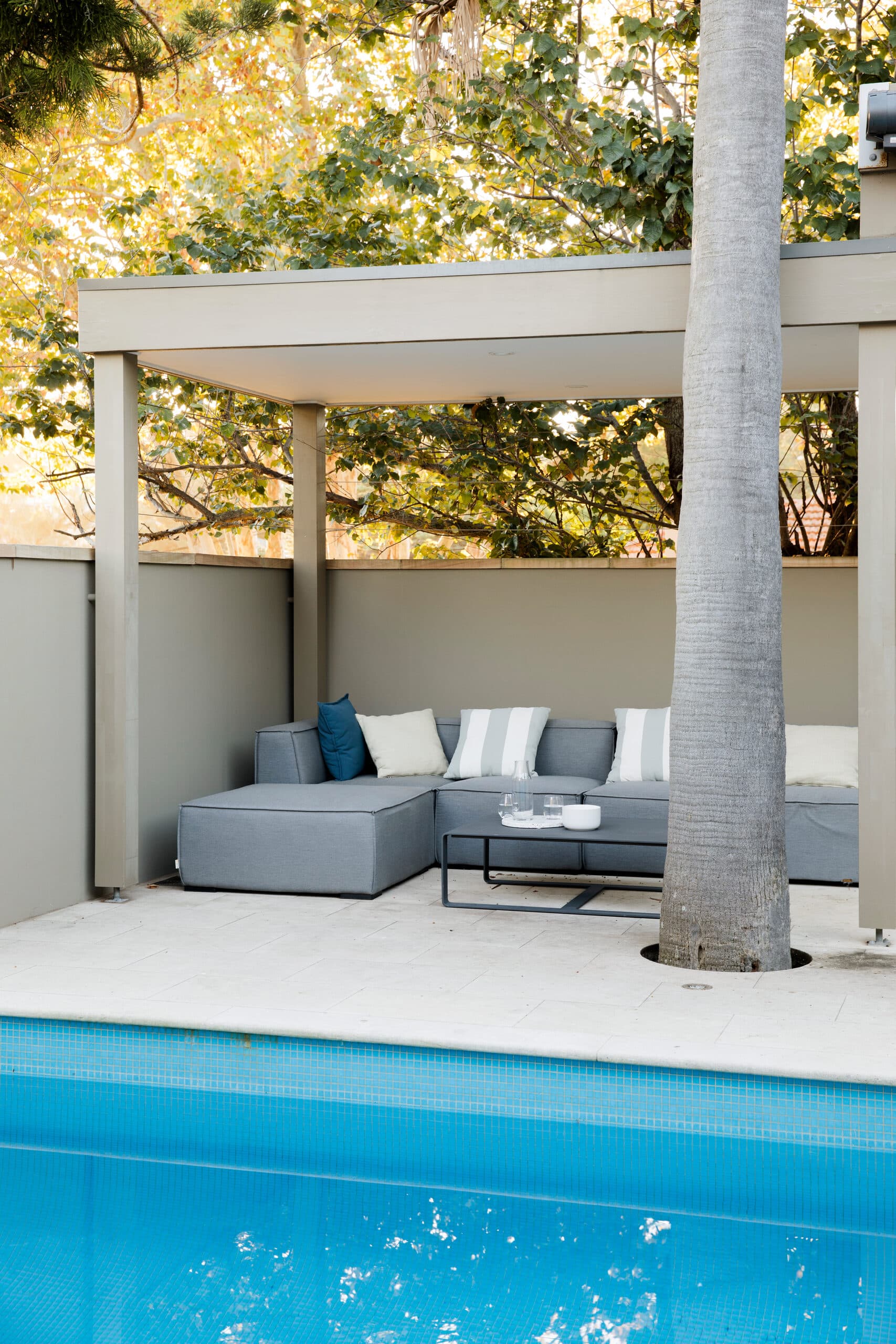 Grey modular poolside sofa sheltered under a pergola with a palm trunk rising through the paving