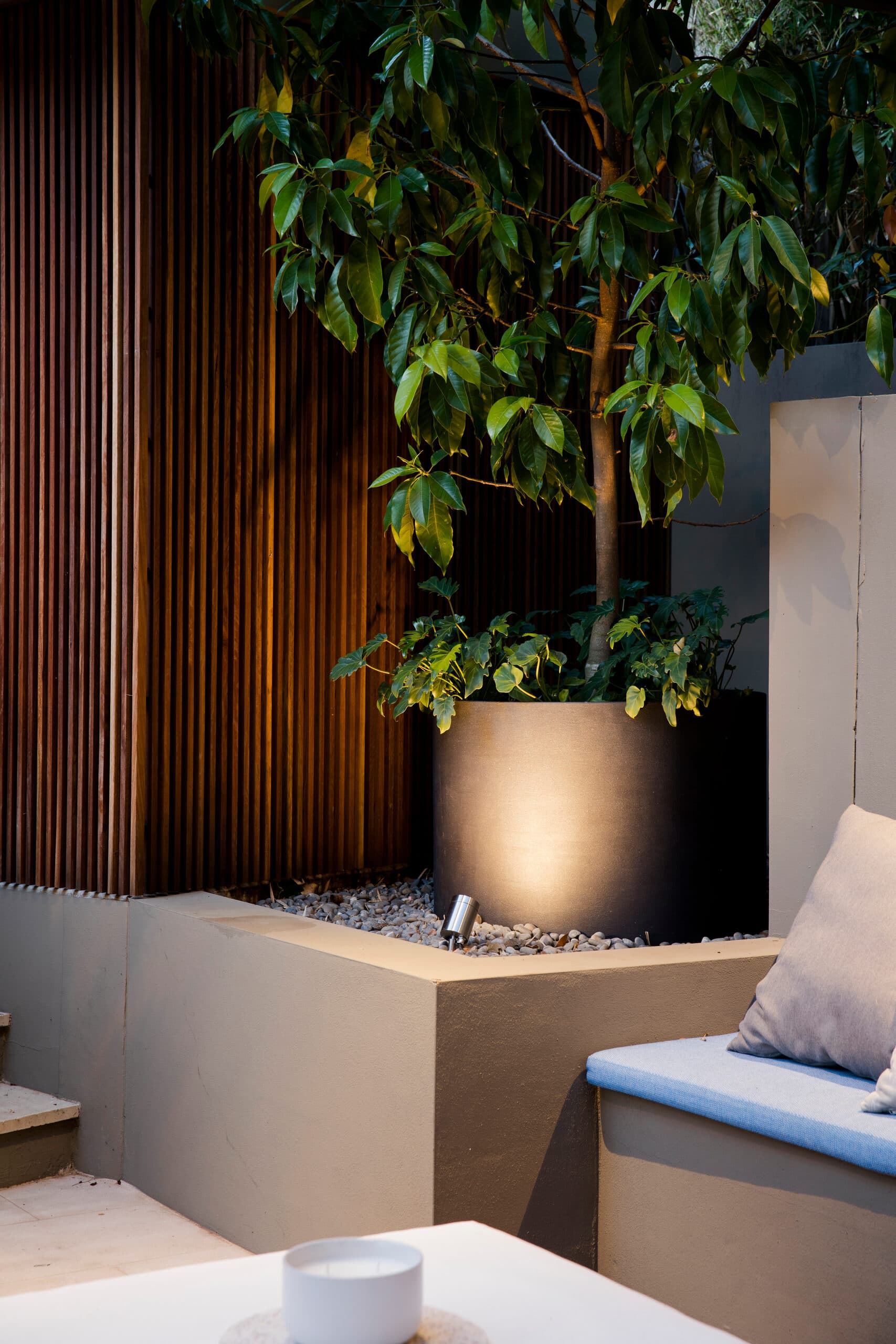 Potted tree uplit against a timber batten wall at night above pebbles and a cushioned render bench