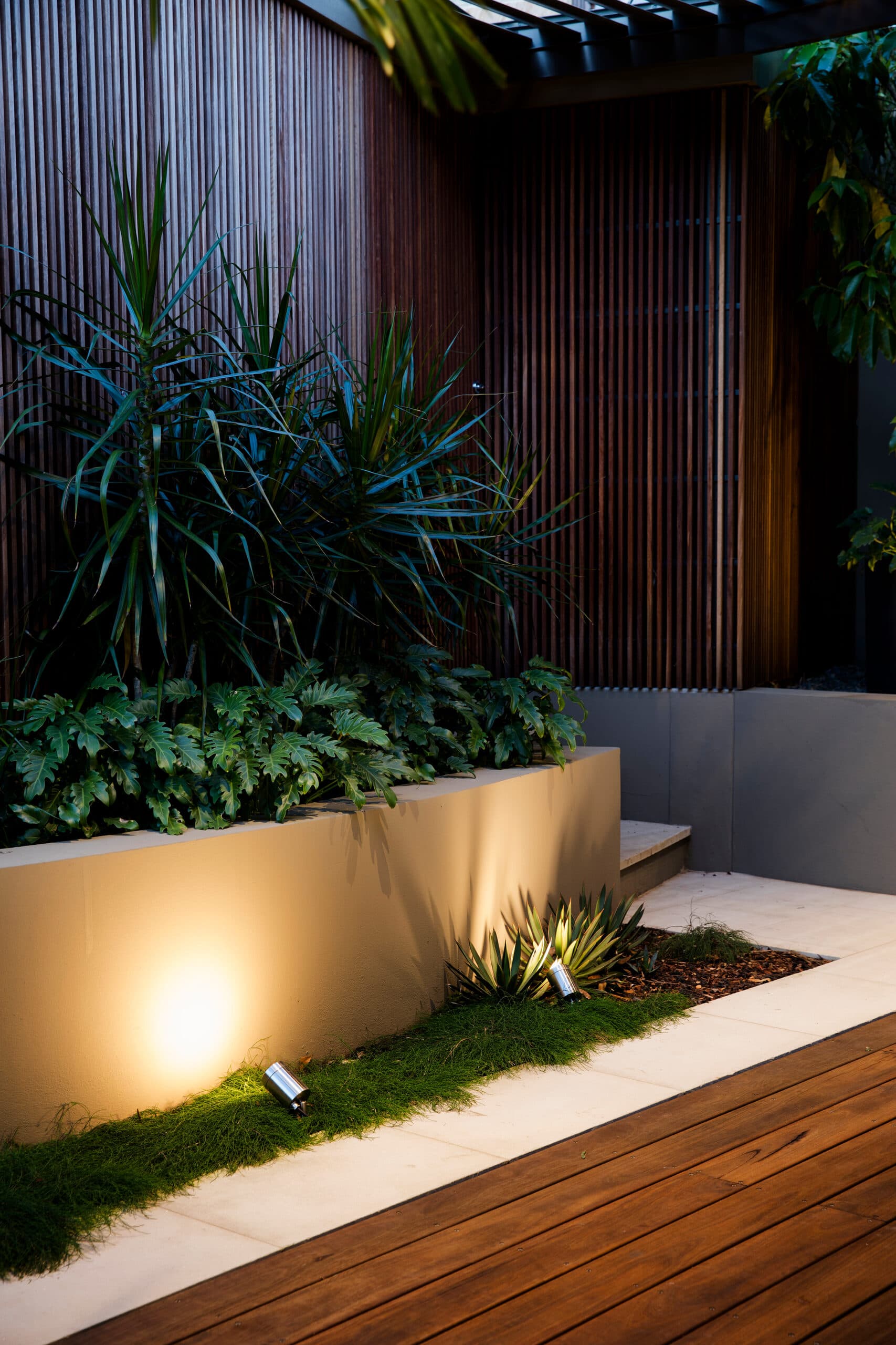 Uplit render planter wall at night with dracaena philodendron and agave beside the timber deck
