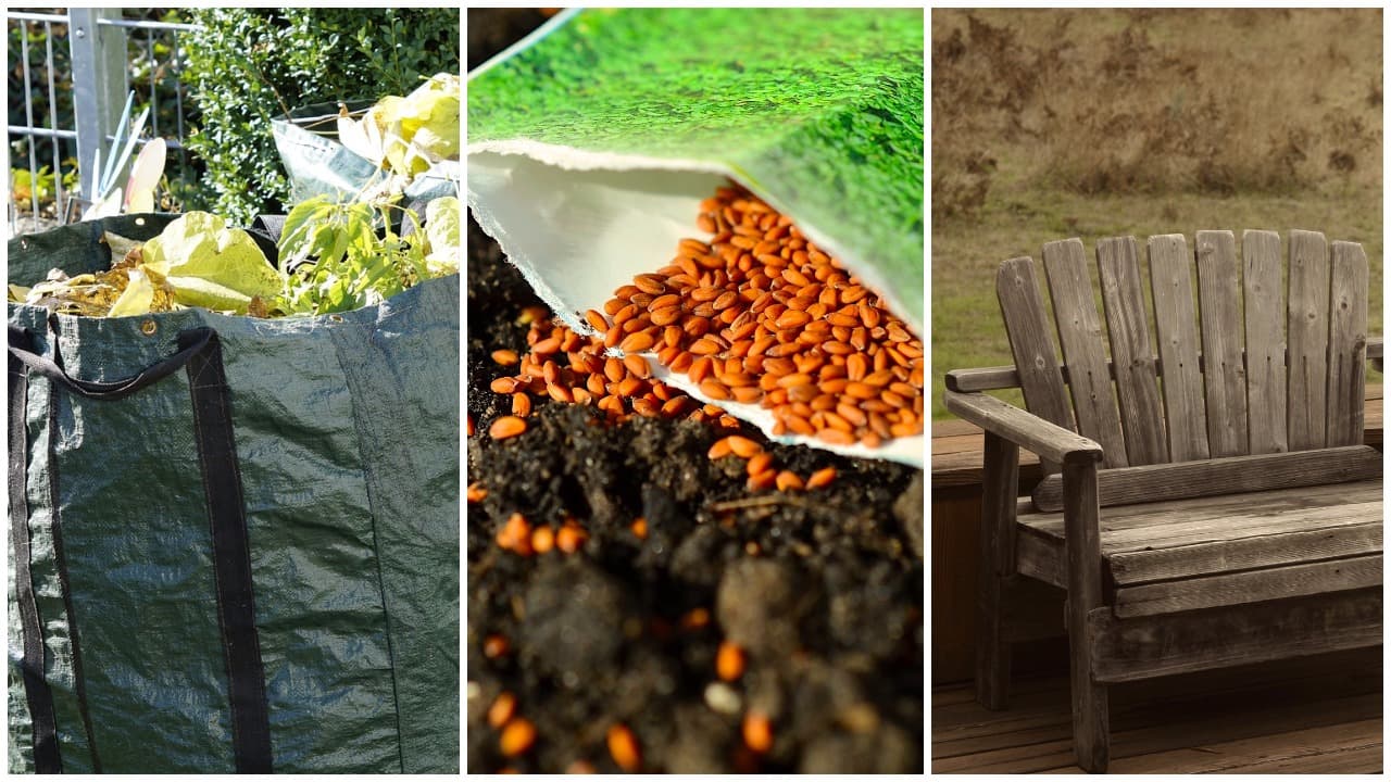 Winter garden jobs, clearing spent growth, sowing seed and a weathered timber chair
