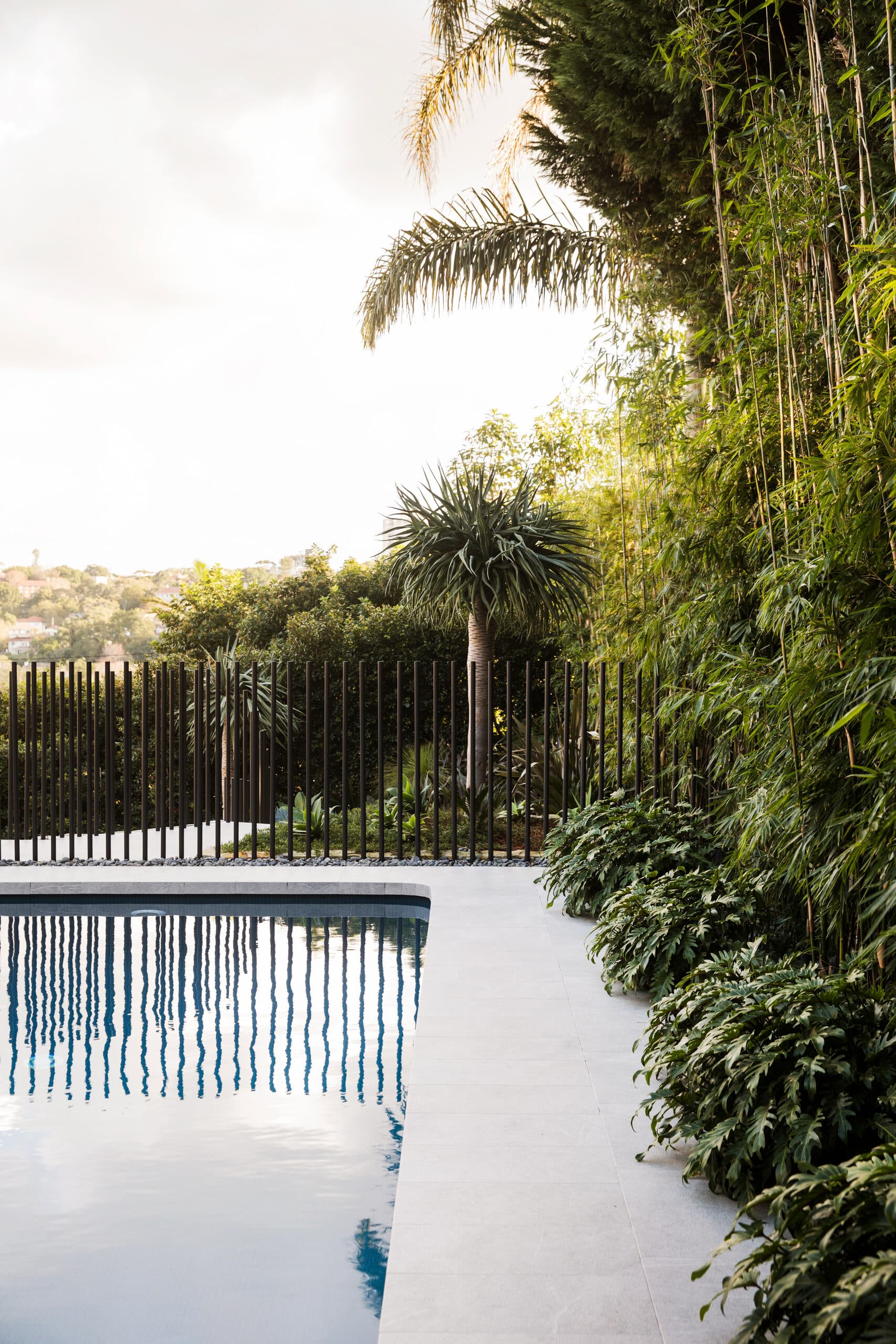 Pool edge with a single palm, dense greenery and a hilltop view beyond the fence