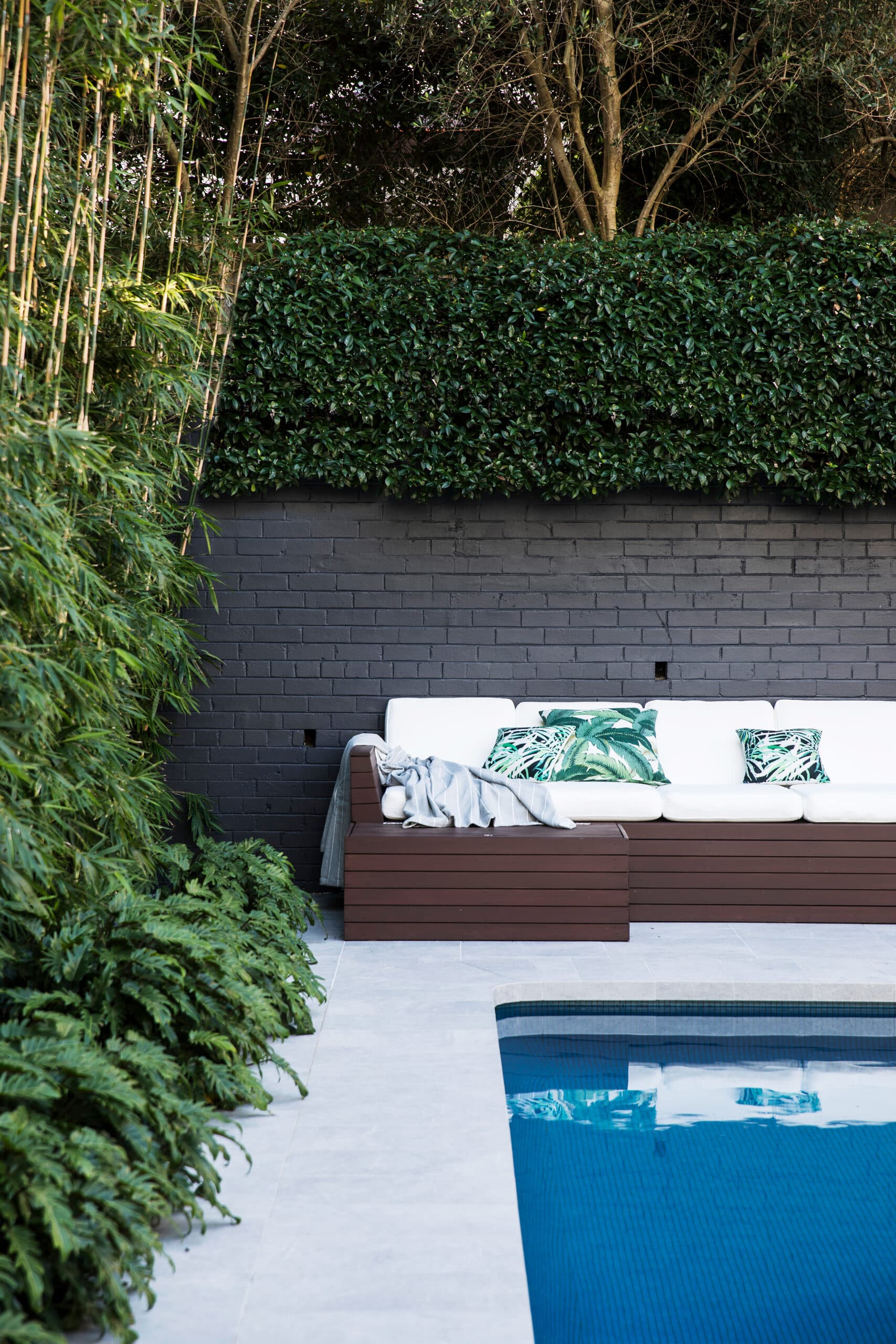 Pool corner with charcoal brick wall, clipped hedge, bamboo and a built in lounge