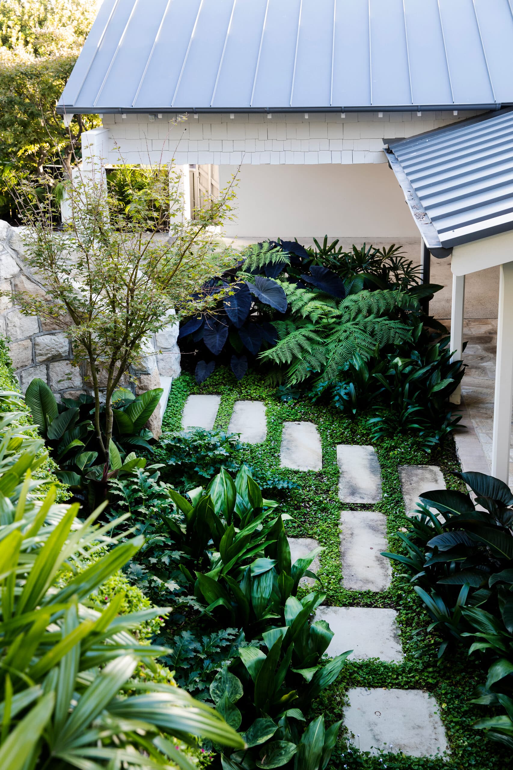 Looking down on a shaded courtyard of ferns and stepping stones beside the house