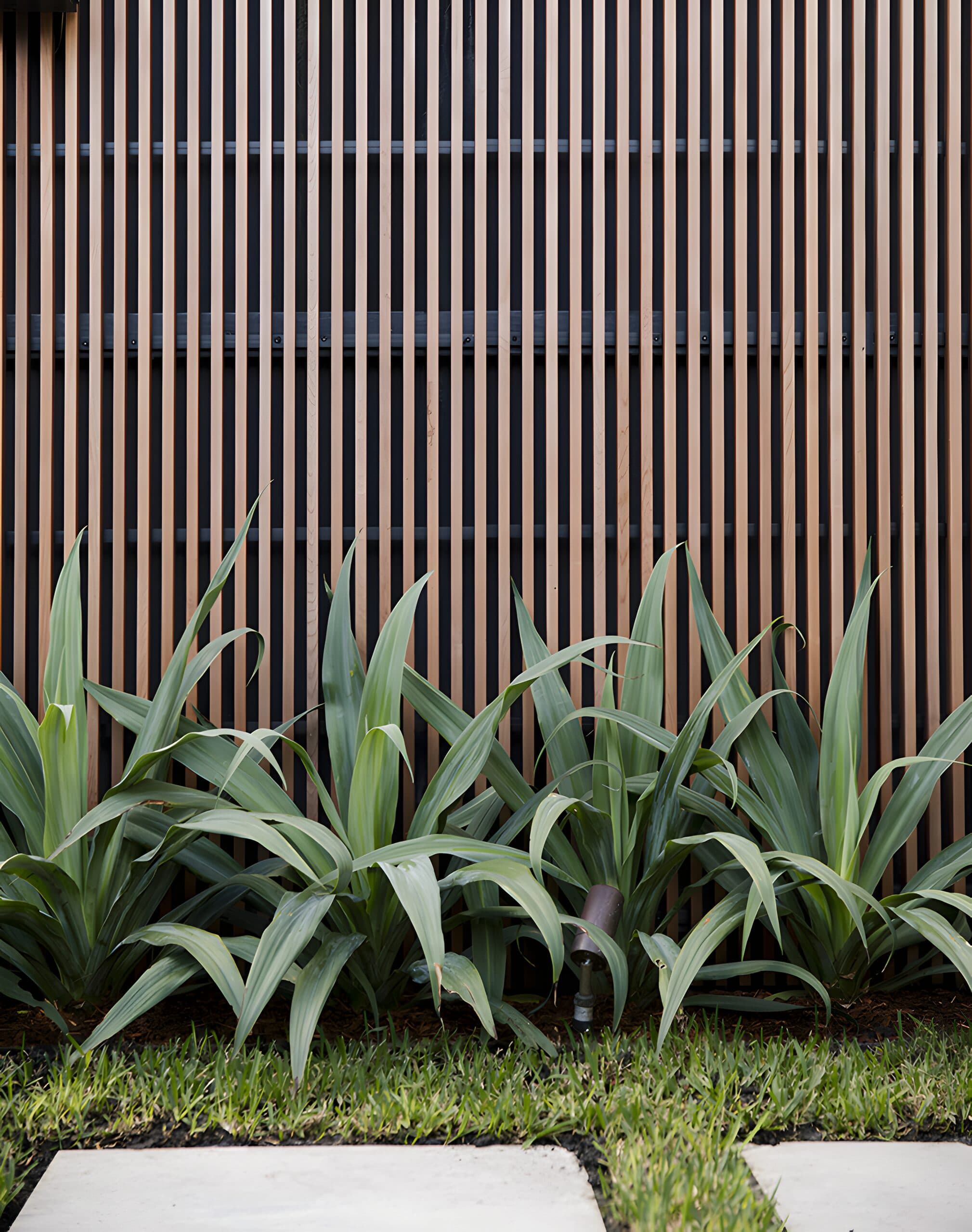 Timber batten screen wall behind a row of strappy green plants edging the lawn