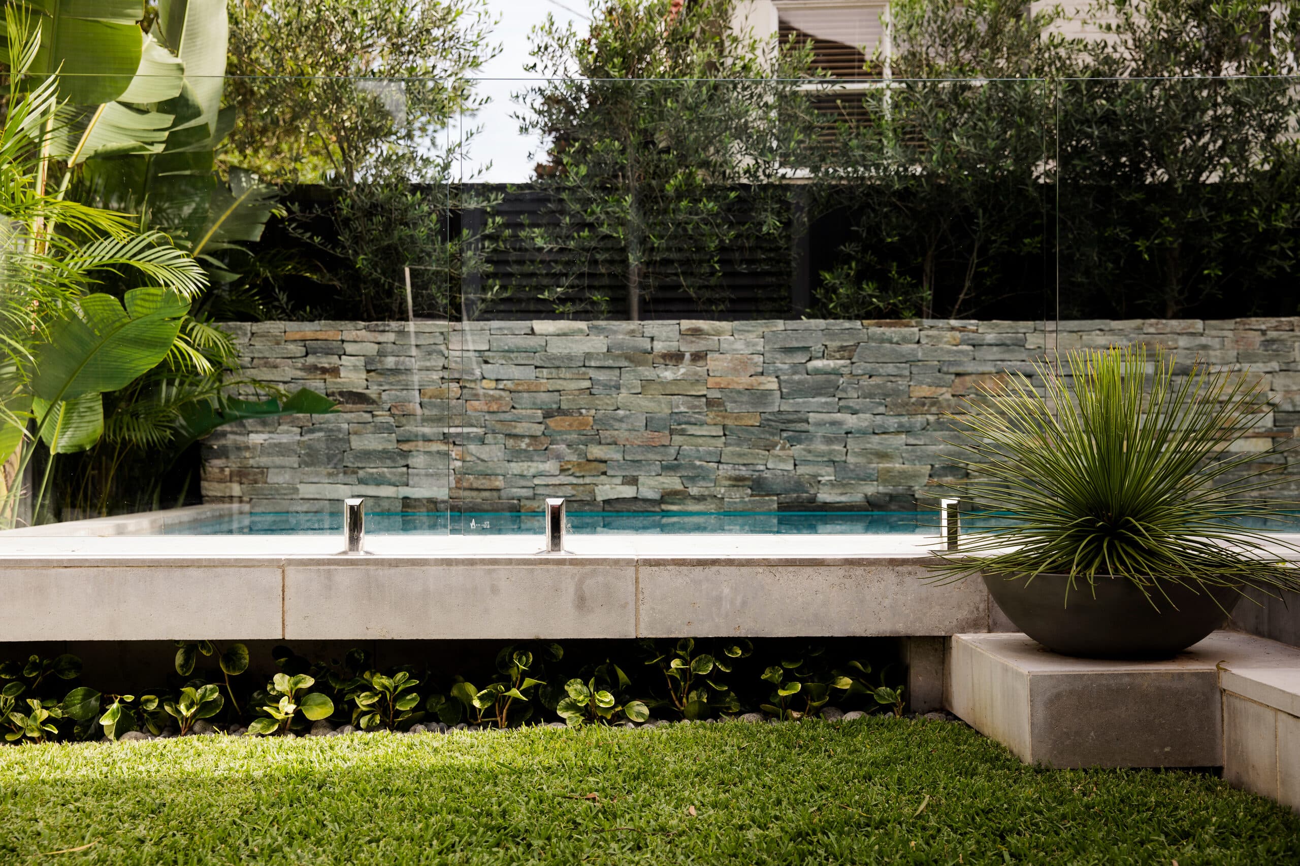 Lap pool behind a frameless glass fence against a dry-stone wall with a spiky feature plant