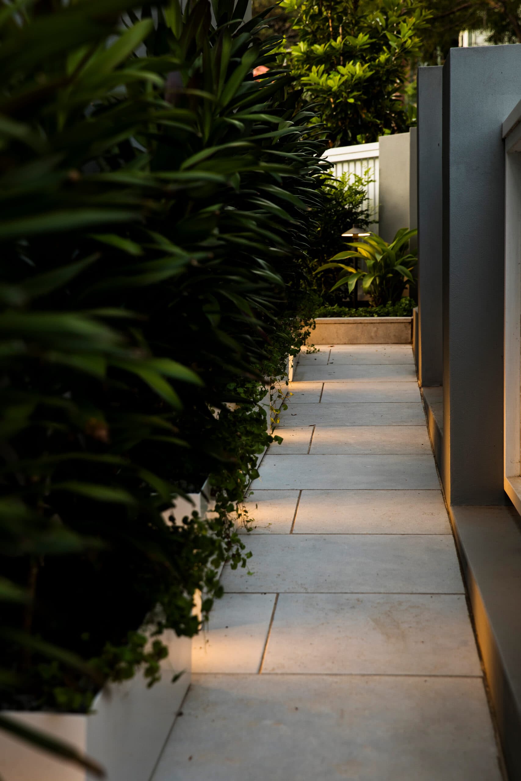 Sandstone path glowing under warm garden lights beside dense foliage at dusk