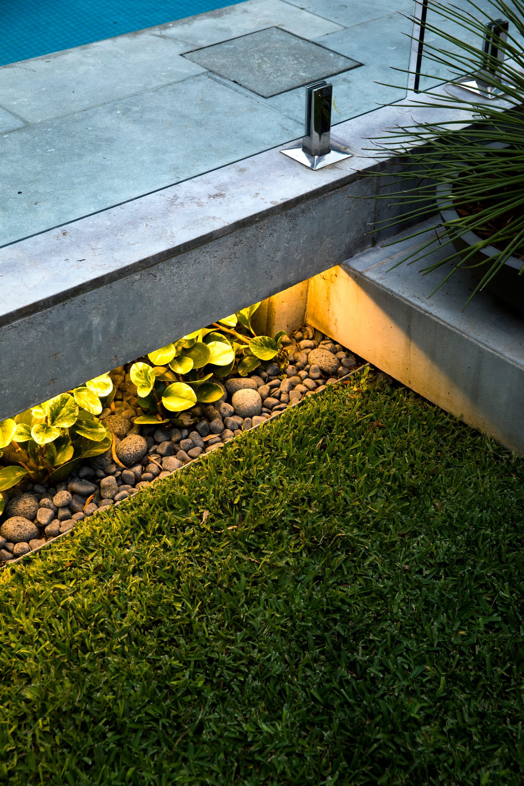 Uplit variegated foliage and pebbles tucked beneath the lit pool edge at night