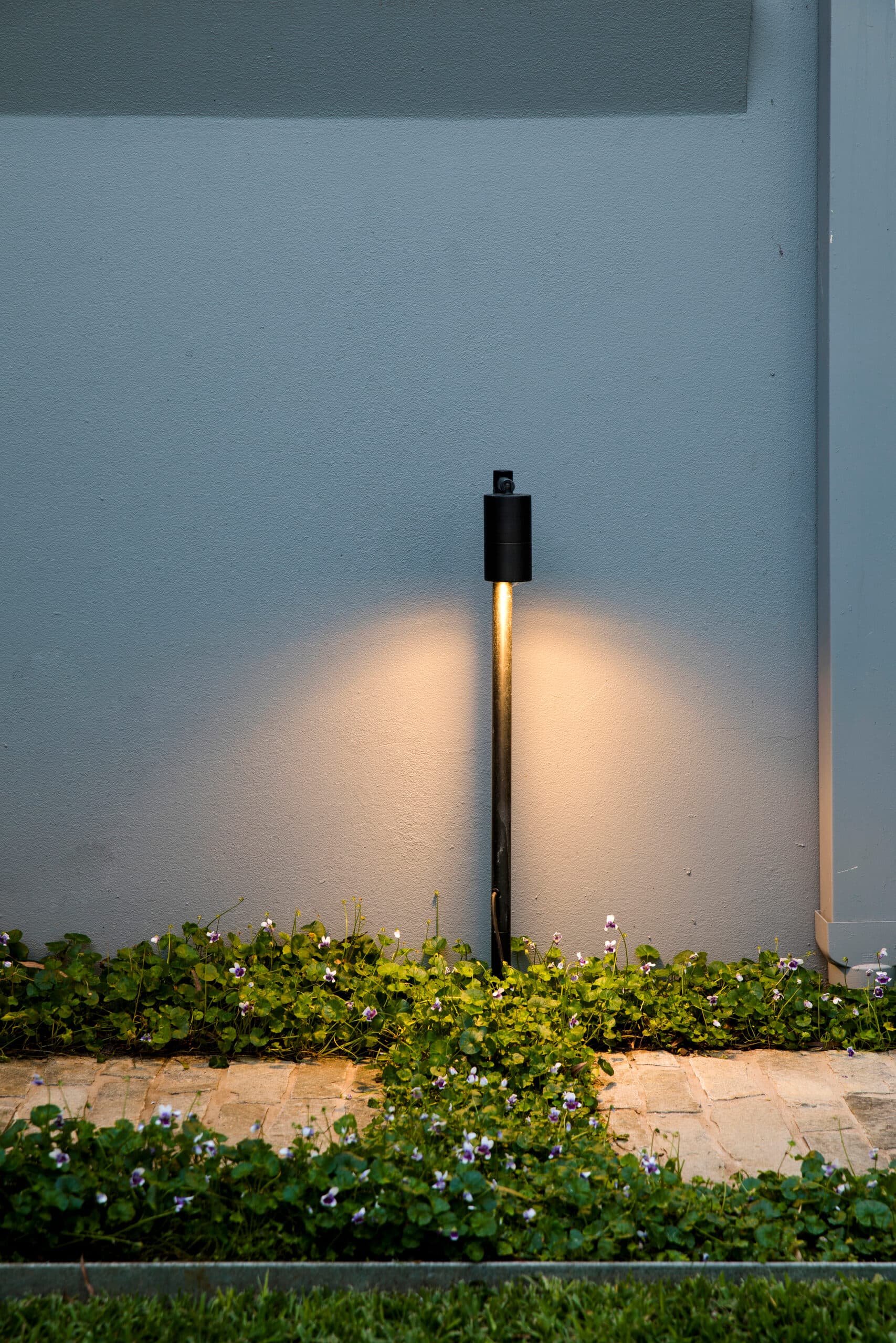 A single spike light glowing warm against a grey wall above flowering groundcover at night