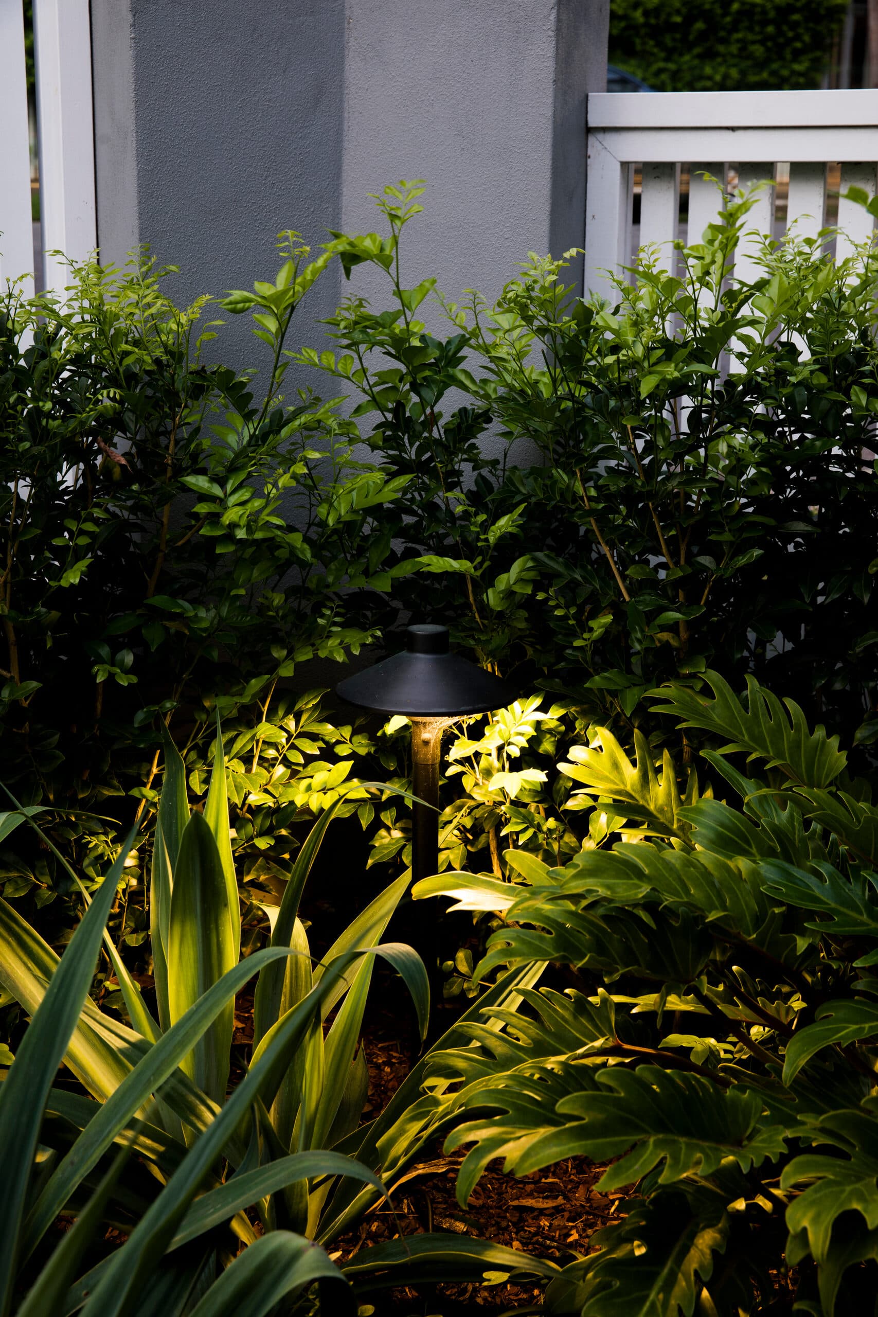 Path light illuminating philodendron and strappy foliage against a grey pier at night