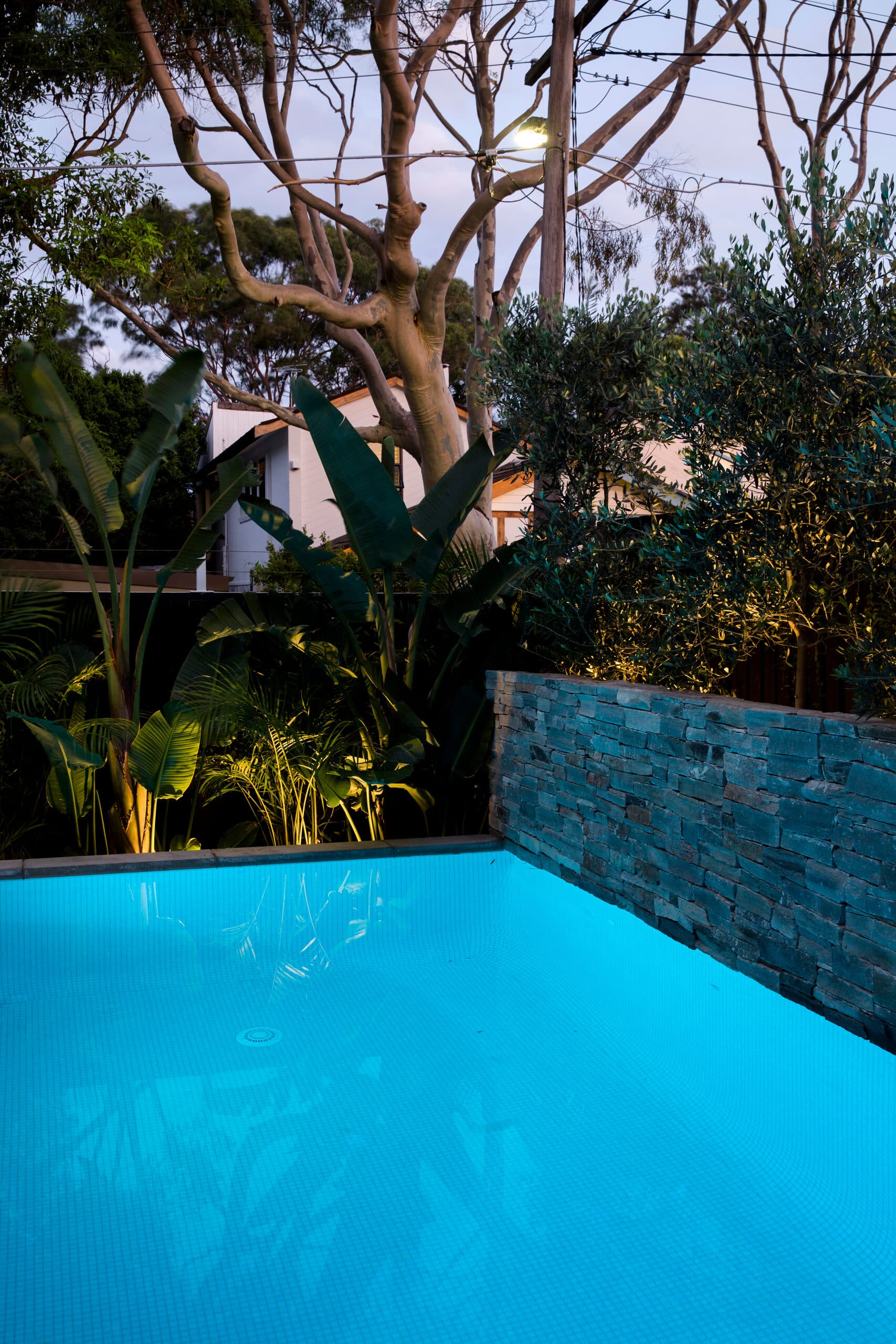 Glowing blue pool at dusk below a stone wall with banana palm and gum tree above