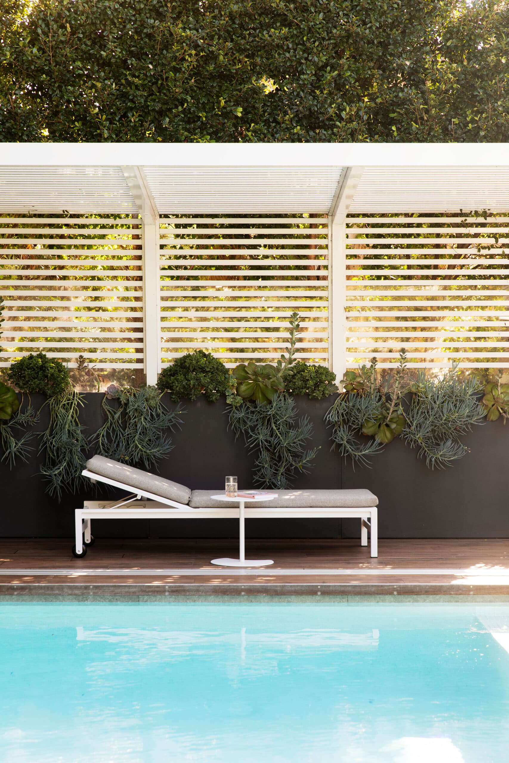 Sun lounge on timber decking below a white louvred pergola and trailing succulents