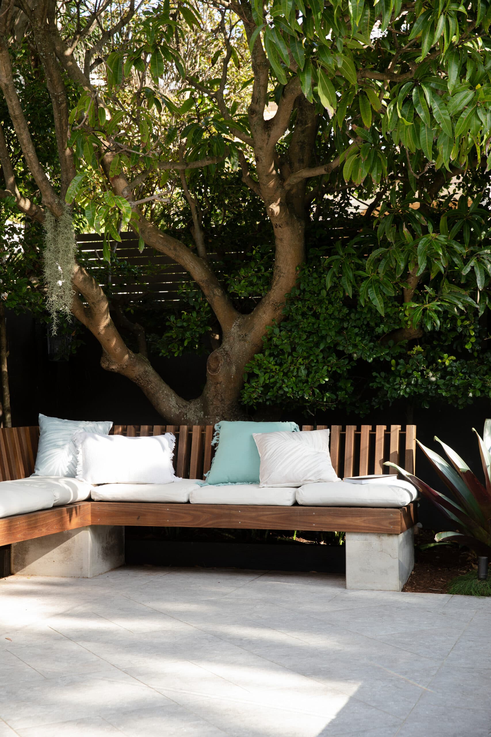 Built in timber bench with cushions wrapping a courtyard corner under a shady tree