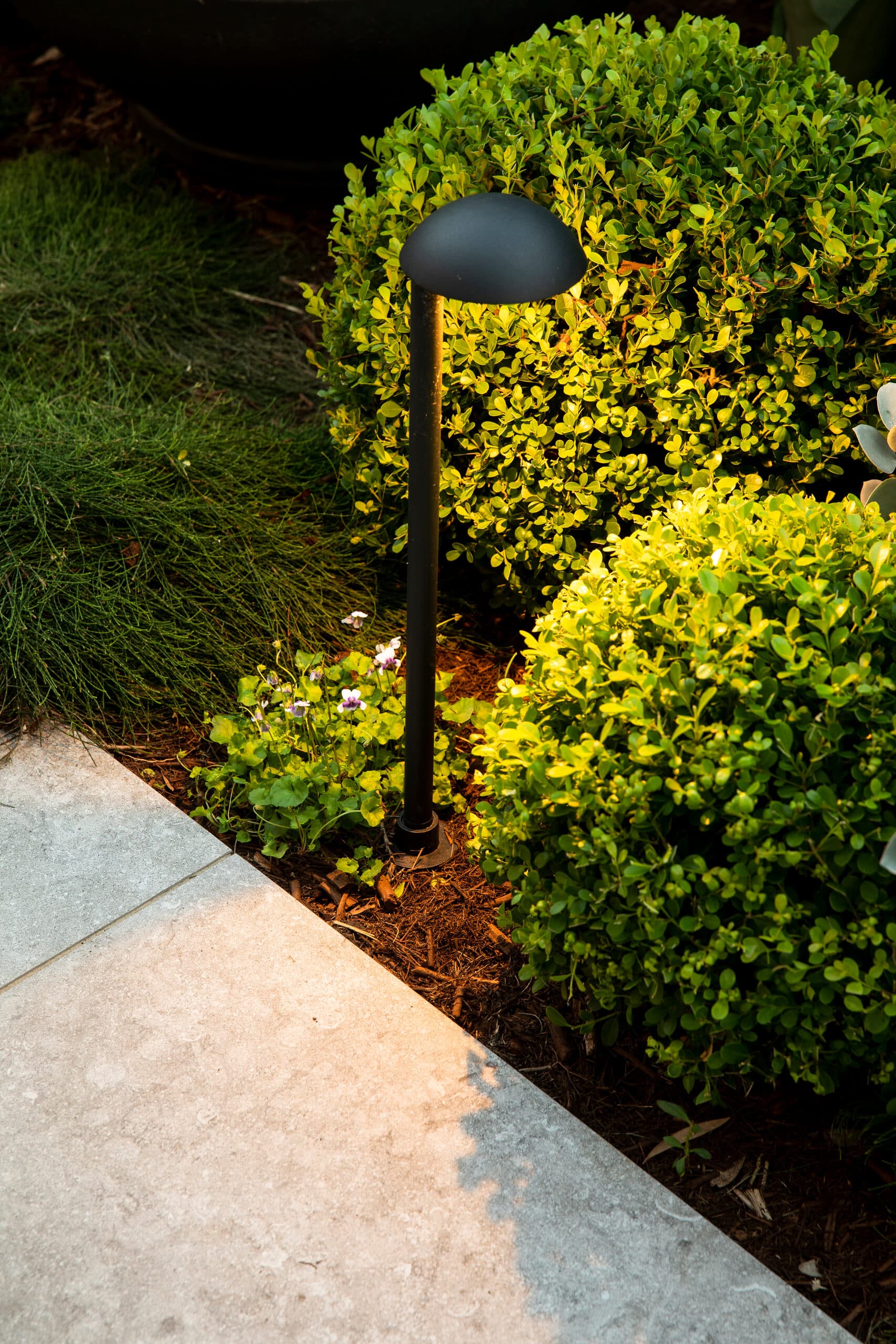 Black path light casting a warm glow over green box hedging beside pale paving at night