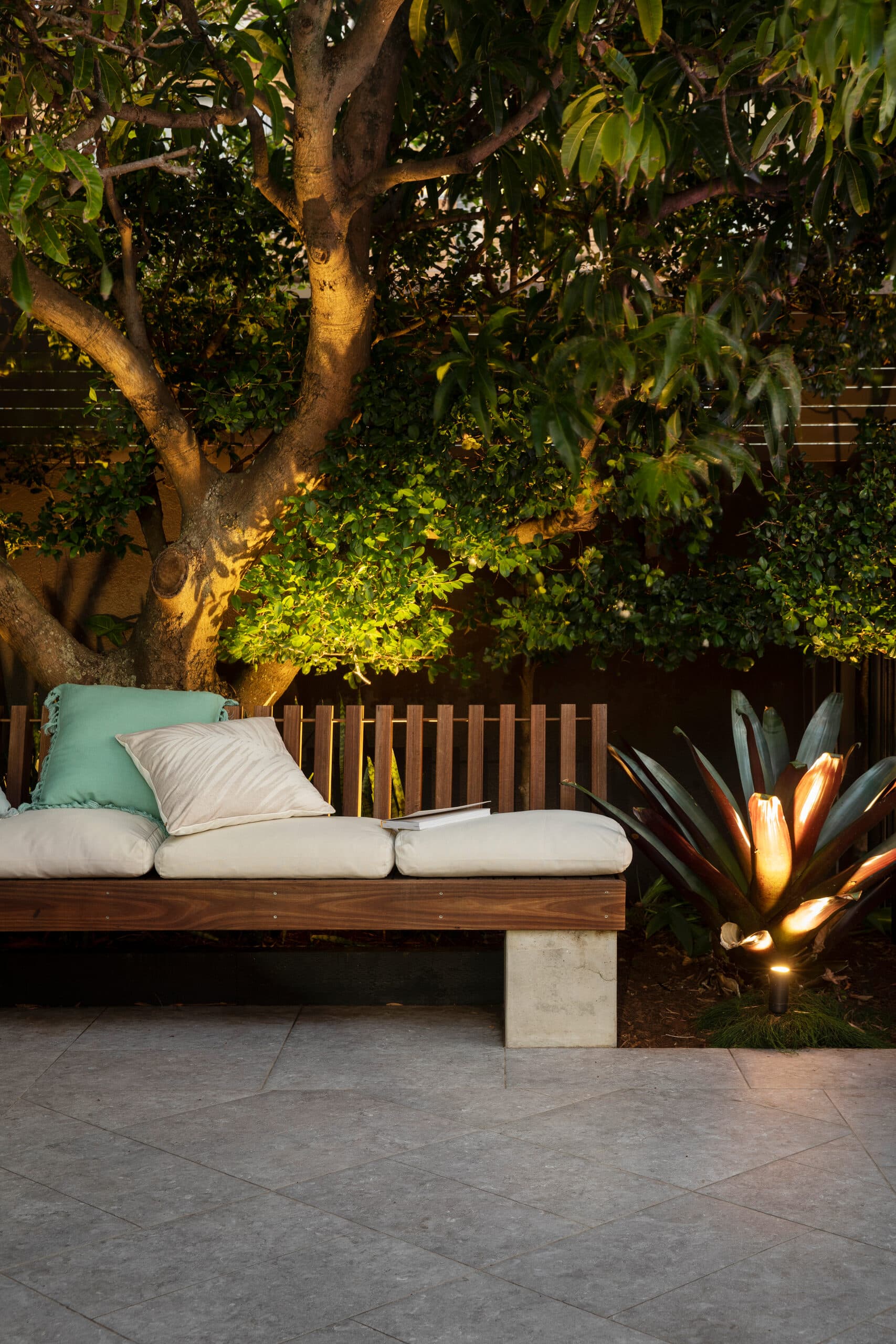 Lit timber bench at night with uplit tree and a glowing agave on paved stone