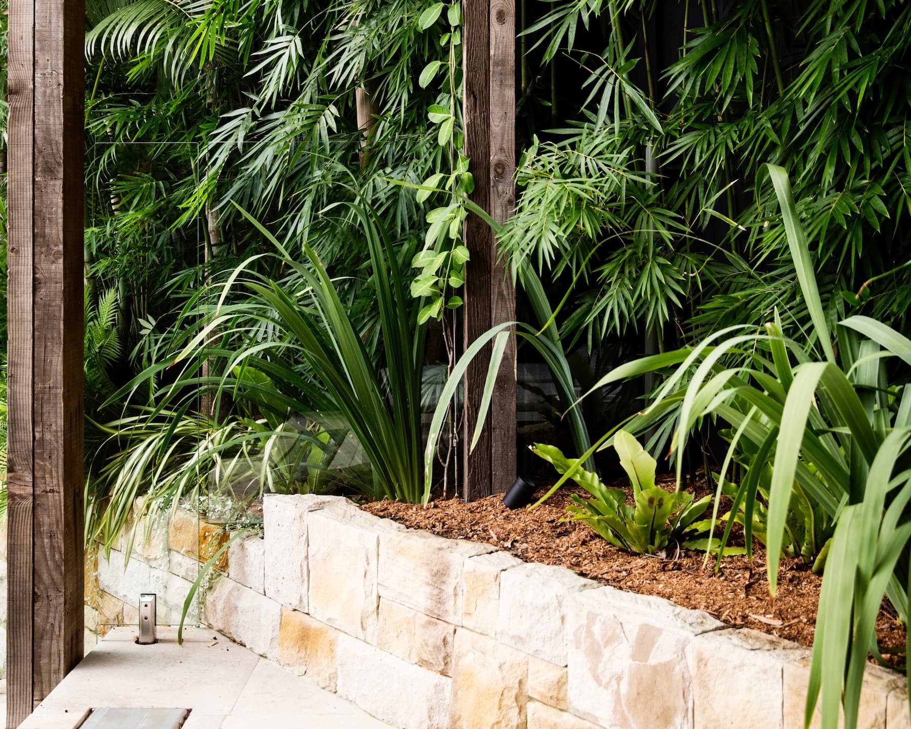 Sandstone planter wall of ferns, lilies and bamboo viewed through a timber framed glass screen