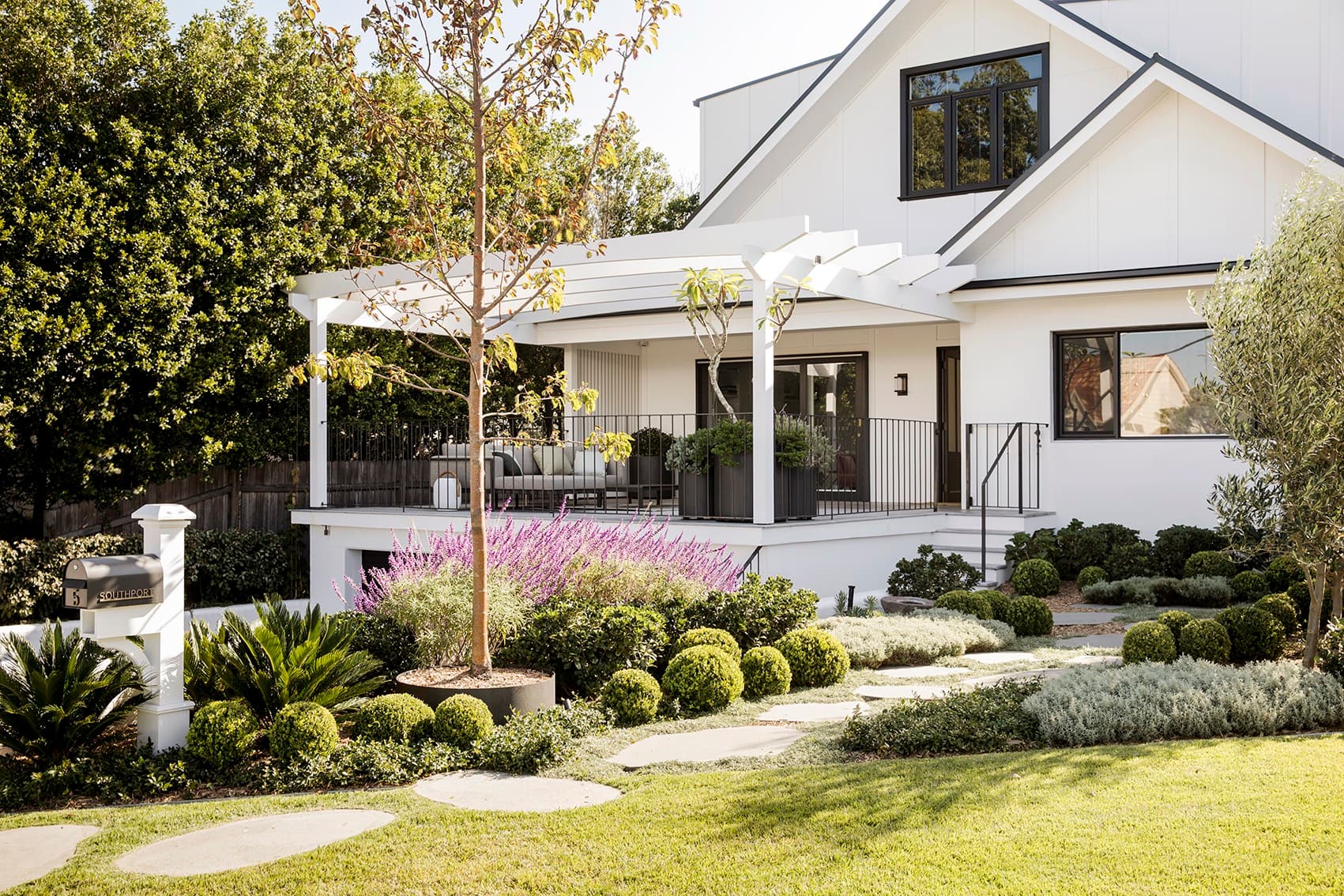 White gabled home behind layered box balls, silvery groundcover and a spire of purple salvia