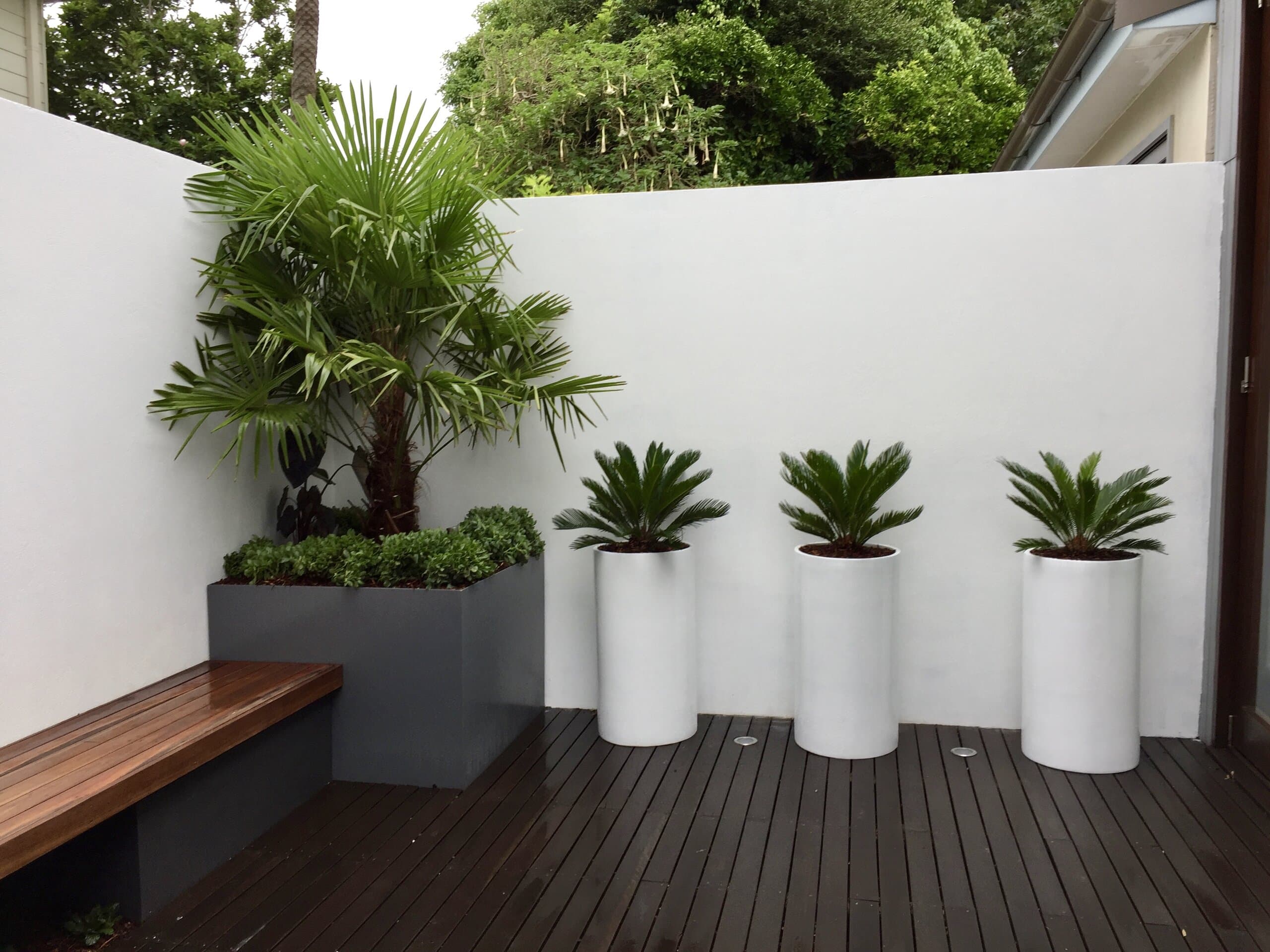 Growing Rooms project in Waverley