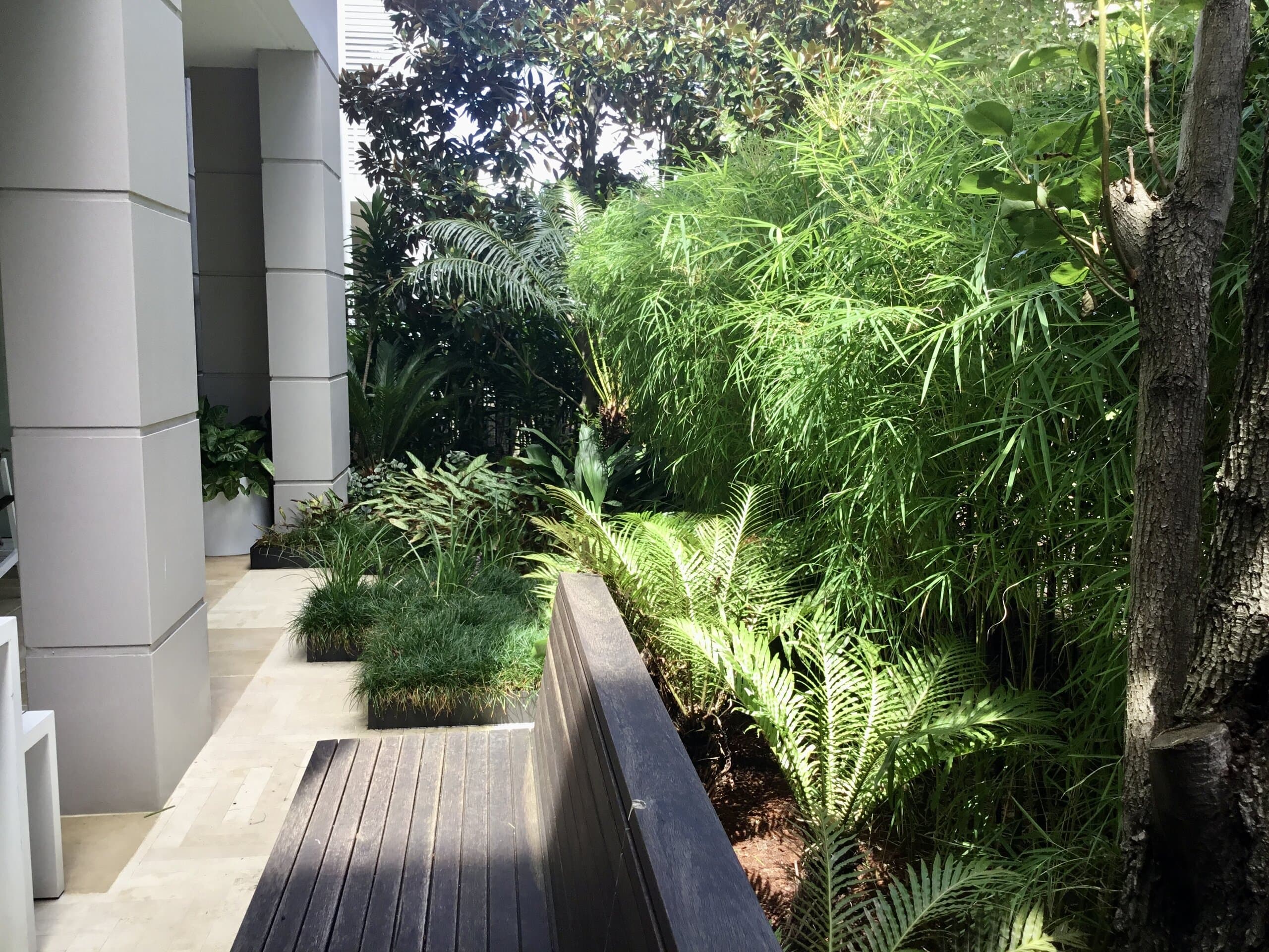 Growing Rooms project in Breakfast Point