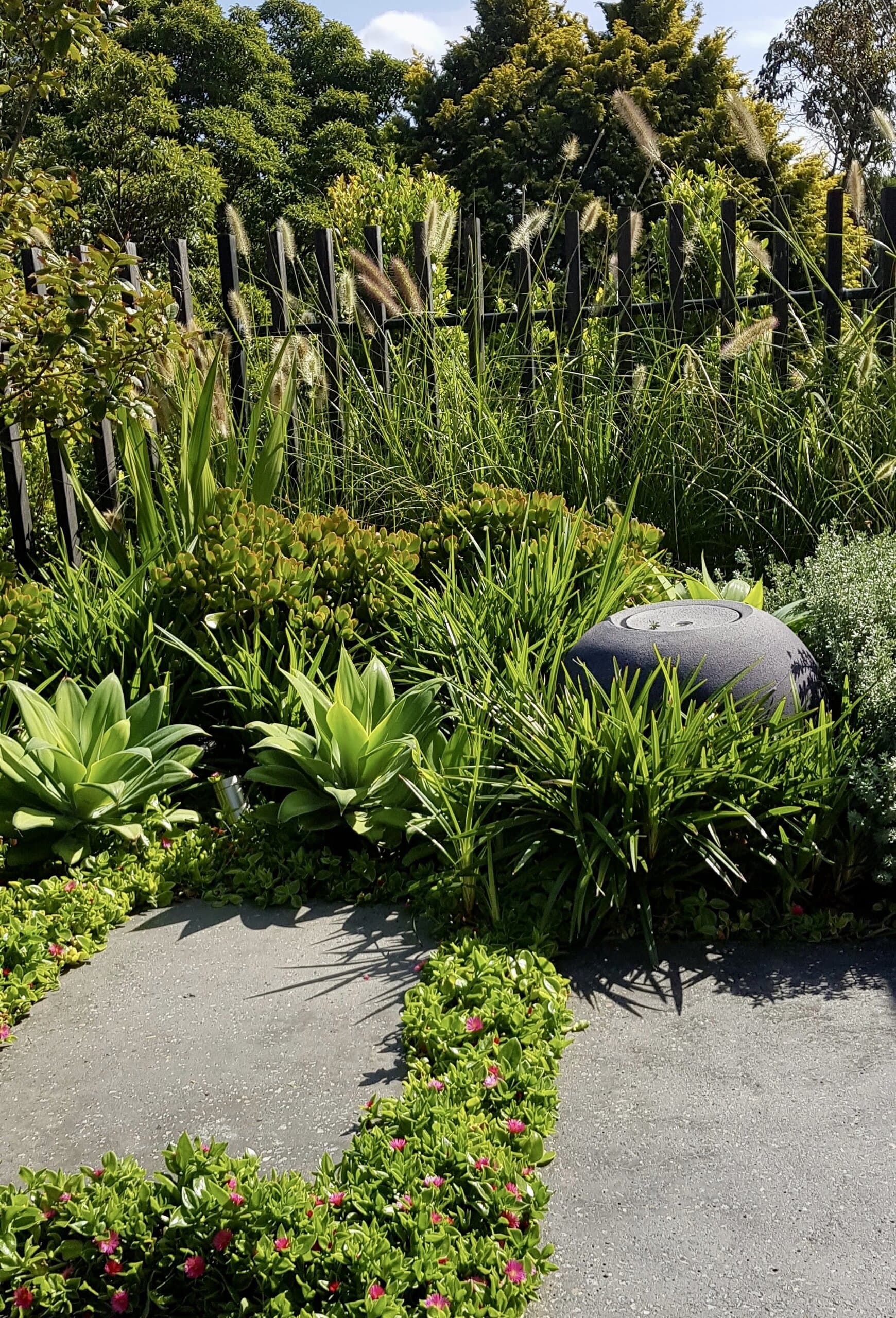 Growing Rooms project in Randwick