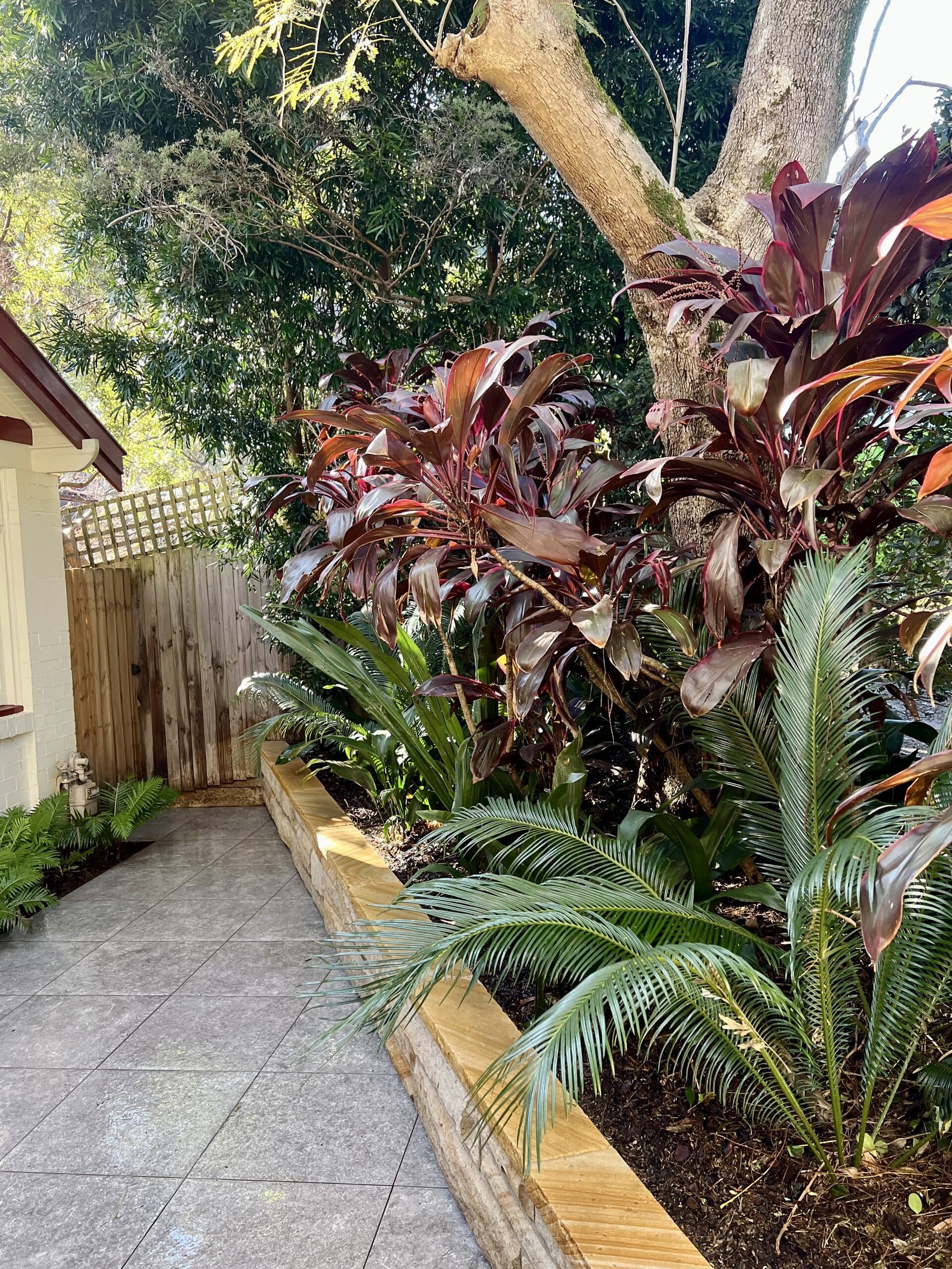 Growing Rooms project in Coogee