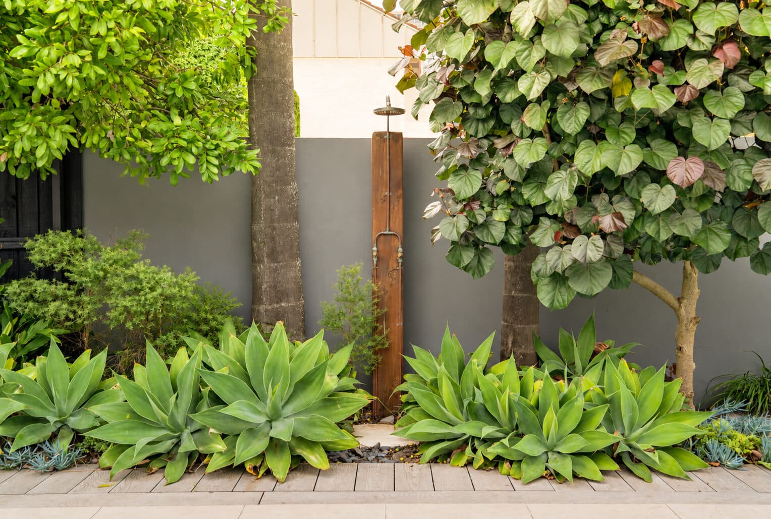 Copper outdoor shower nestled among agaves, palms and leafy boundary planting