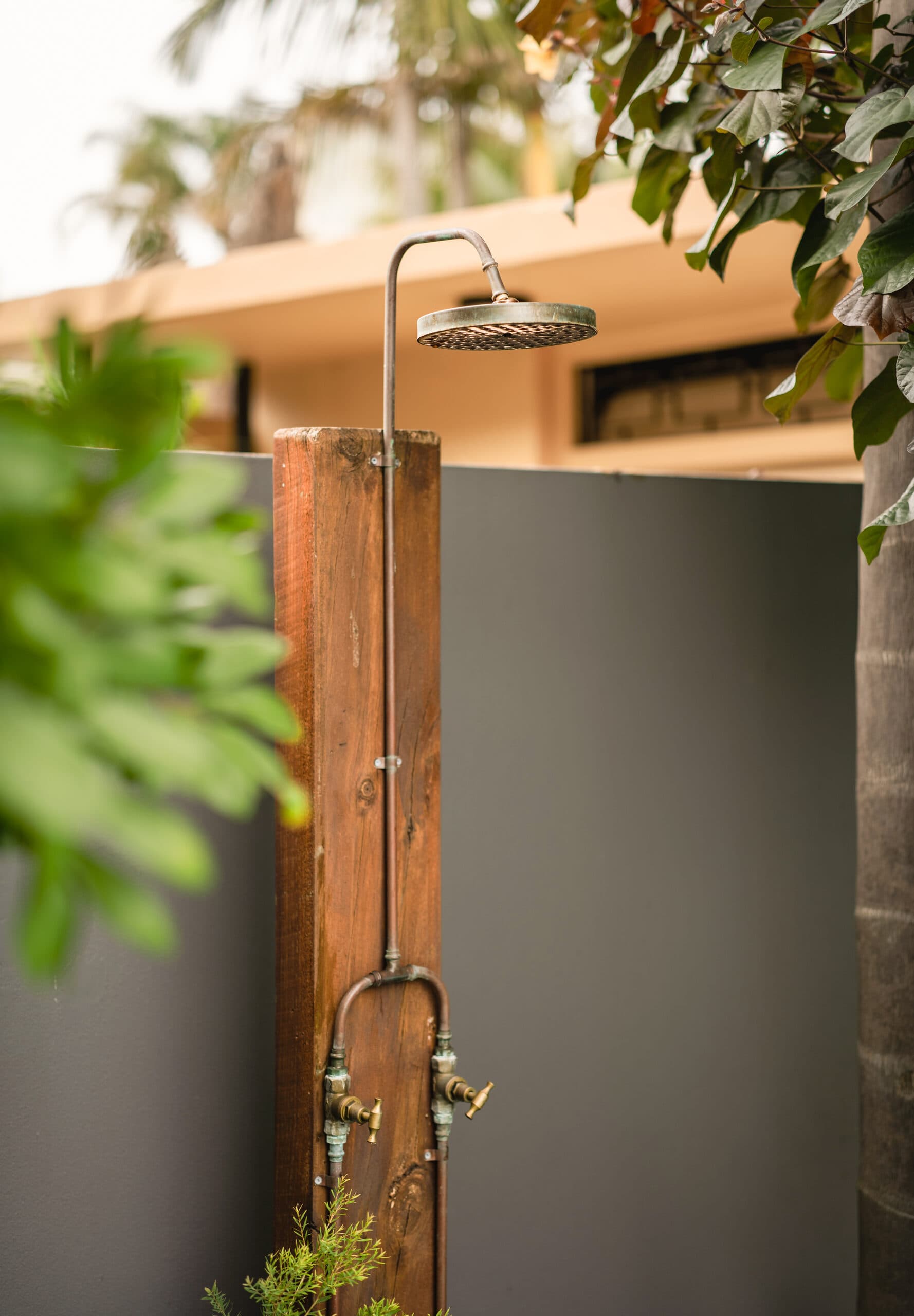 Copper outdoor shower mounted on reclaimed timber among tropical foliage