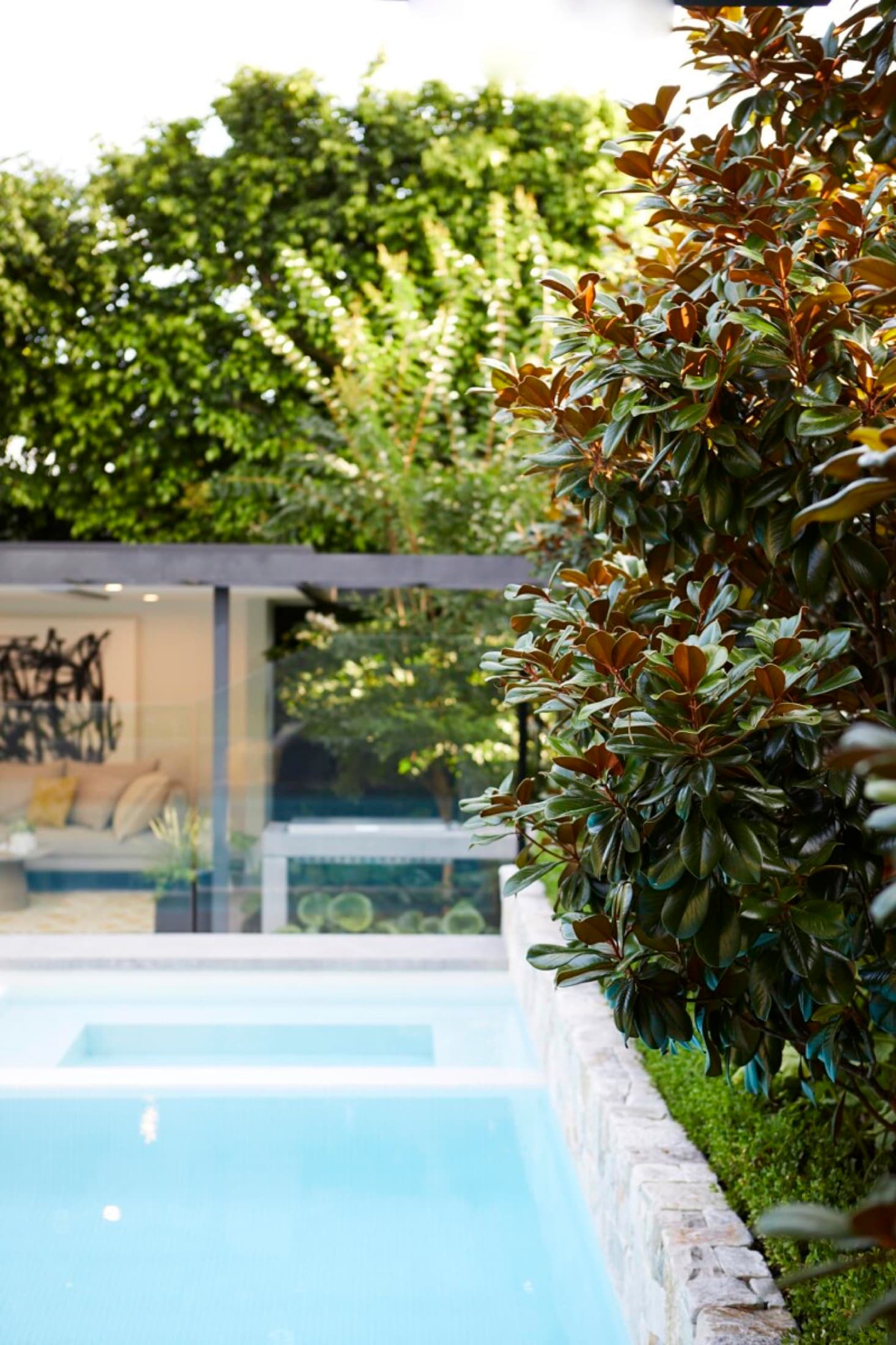 Luxury resort-style garden pool at dusk — Dover Heights, Eastern Suburbs Sydney