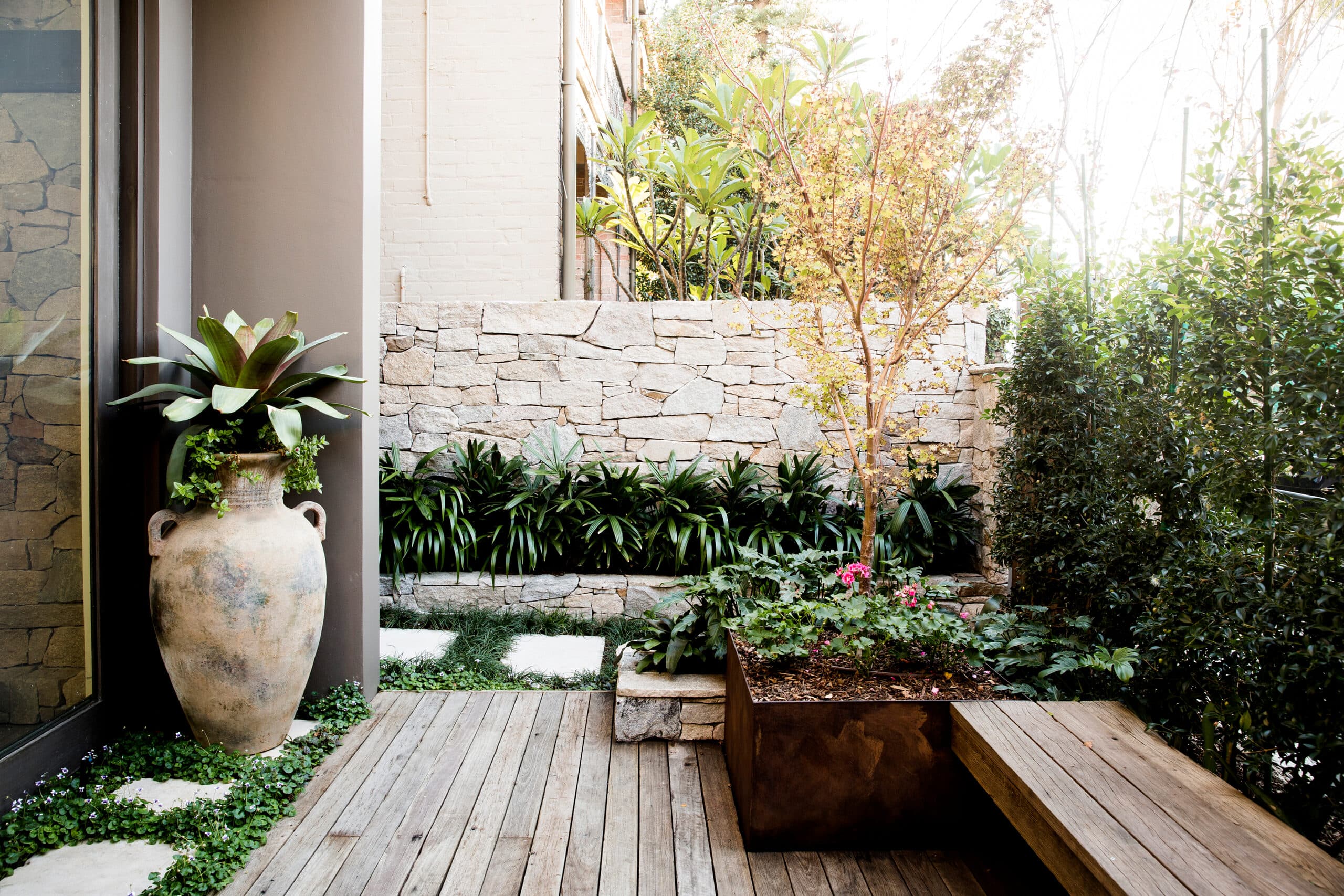 A Growing Rooms garden in Paddington