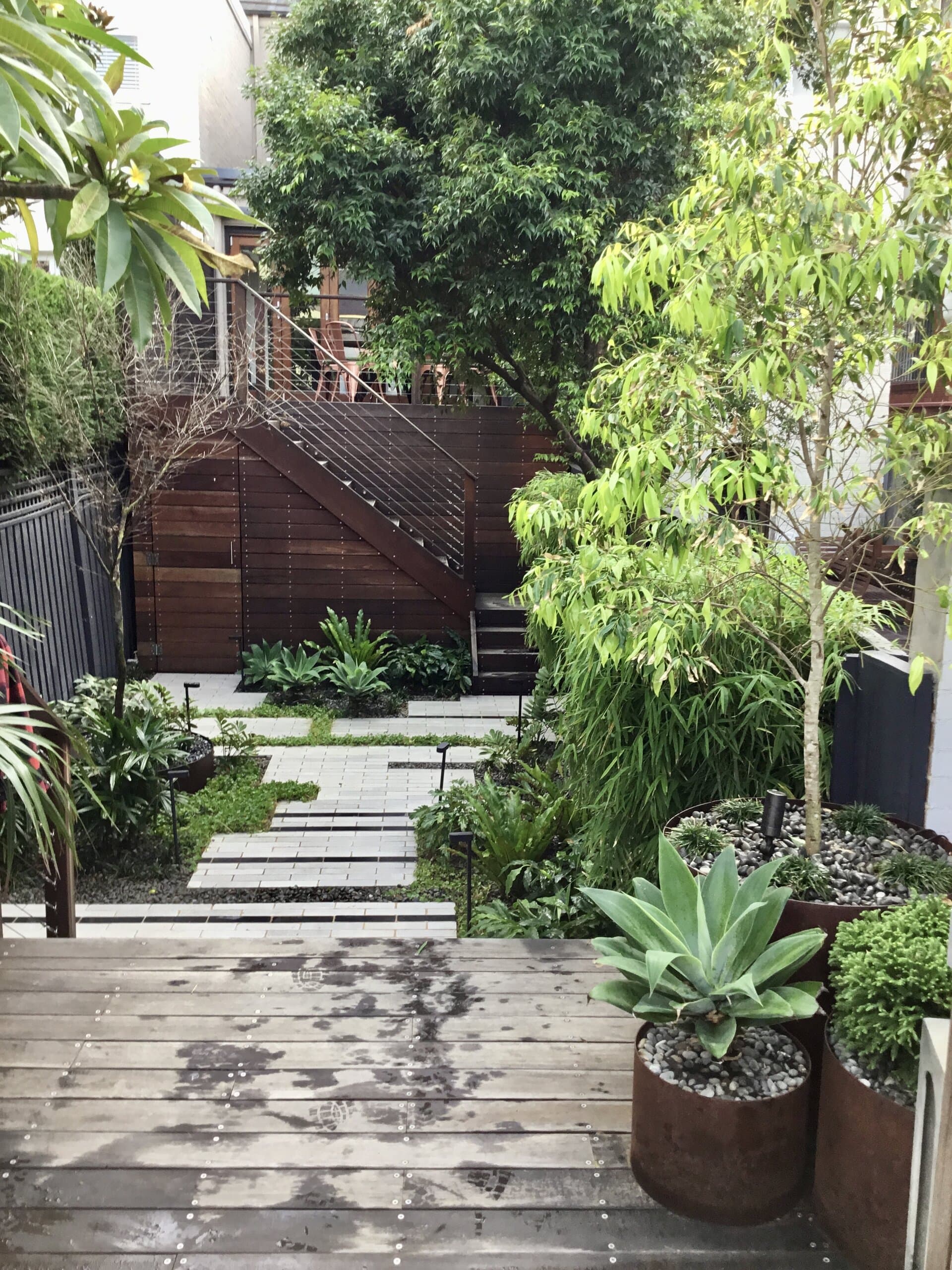 Growing Rooms project in Paddington