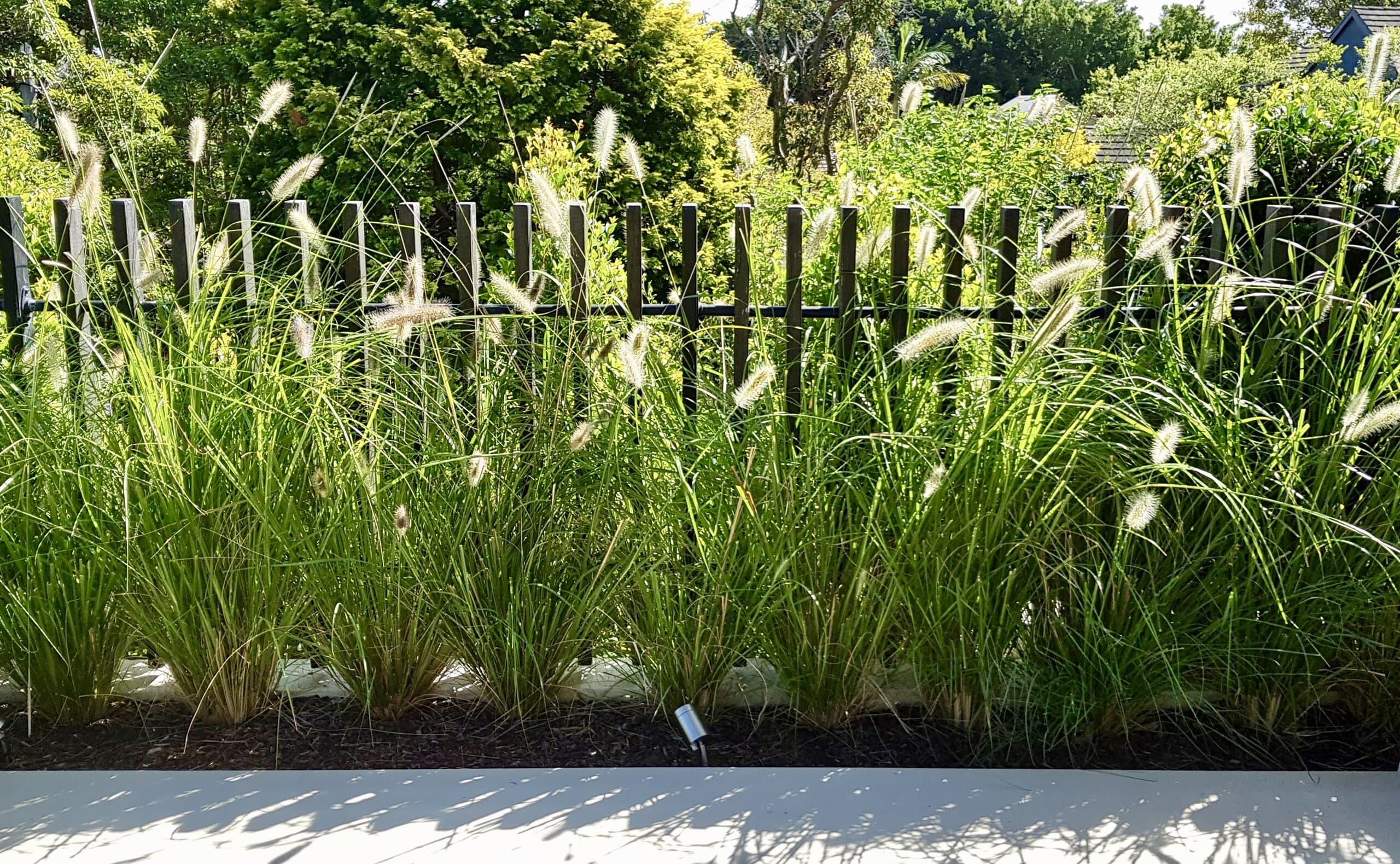 Growing Rooms project in Chifley